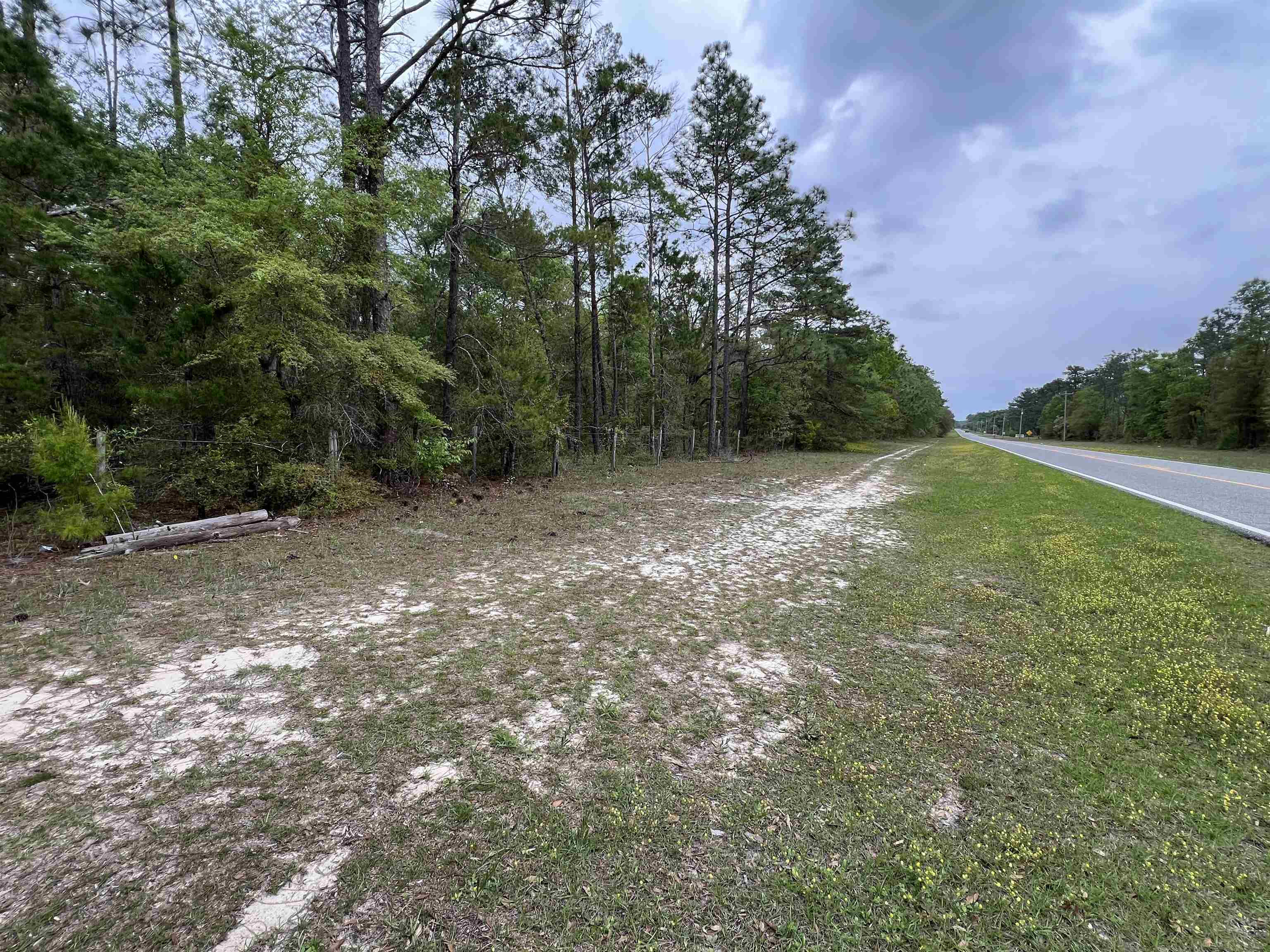 45 Old Federal Road, Quincy, Florida image 14