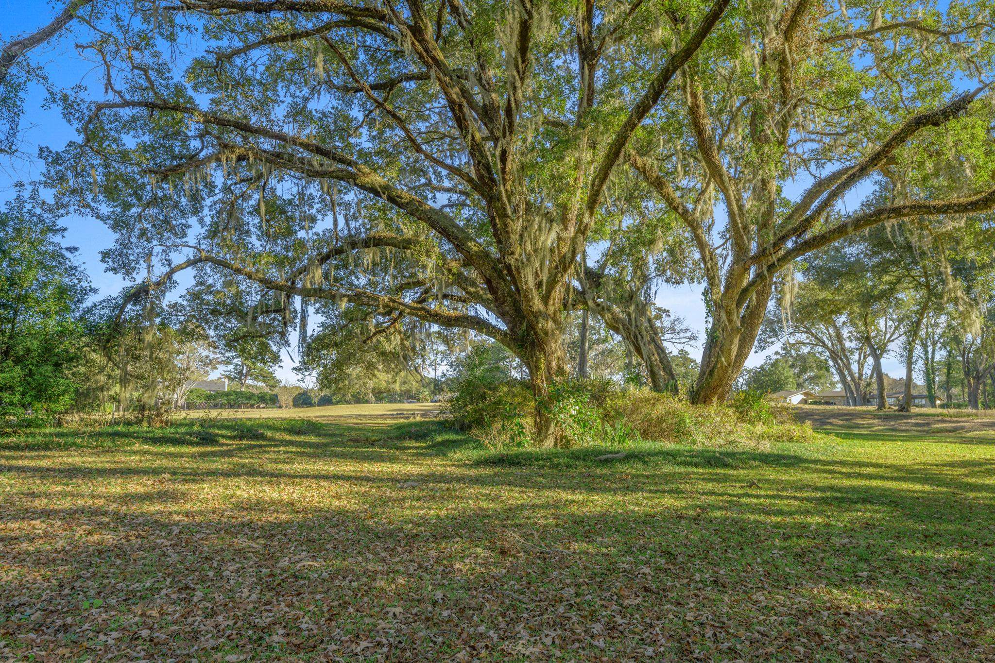 3908 Dunleer Court, Tallahassee, Texas image 40