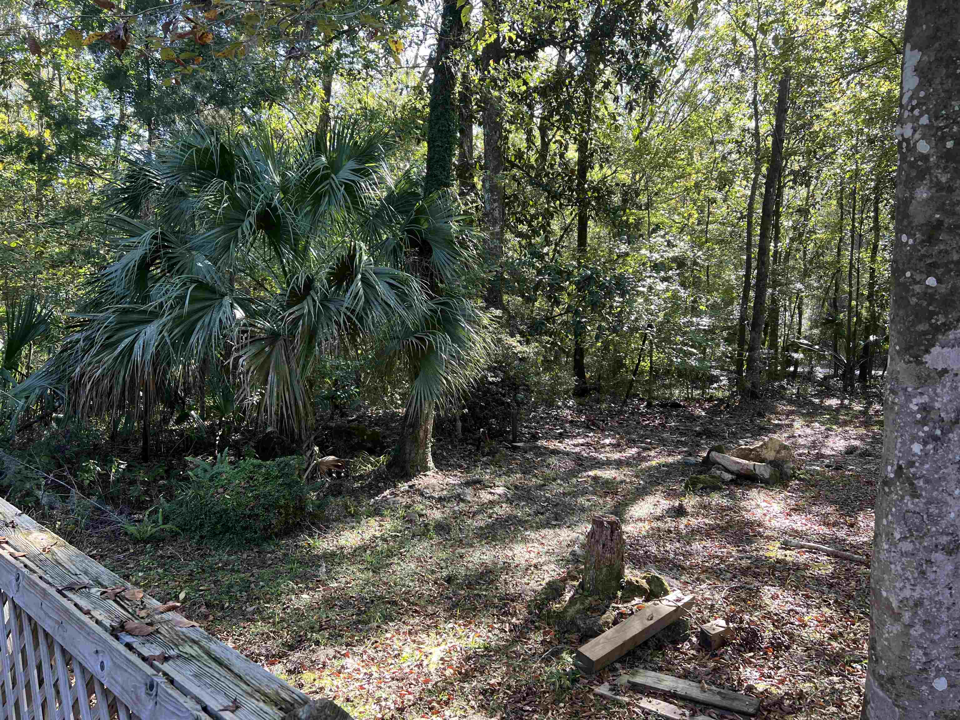 90 Mysterious Waters Road, Crawfordville, Florida image 2