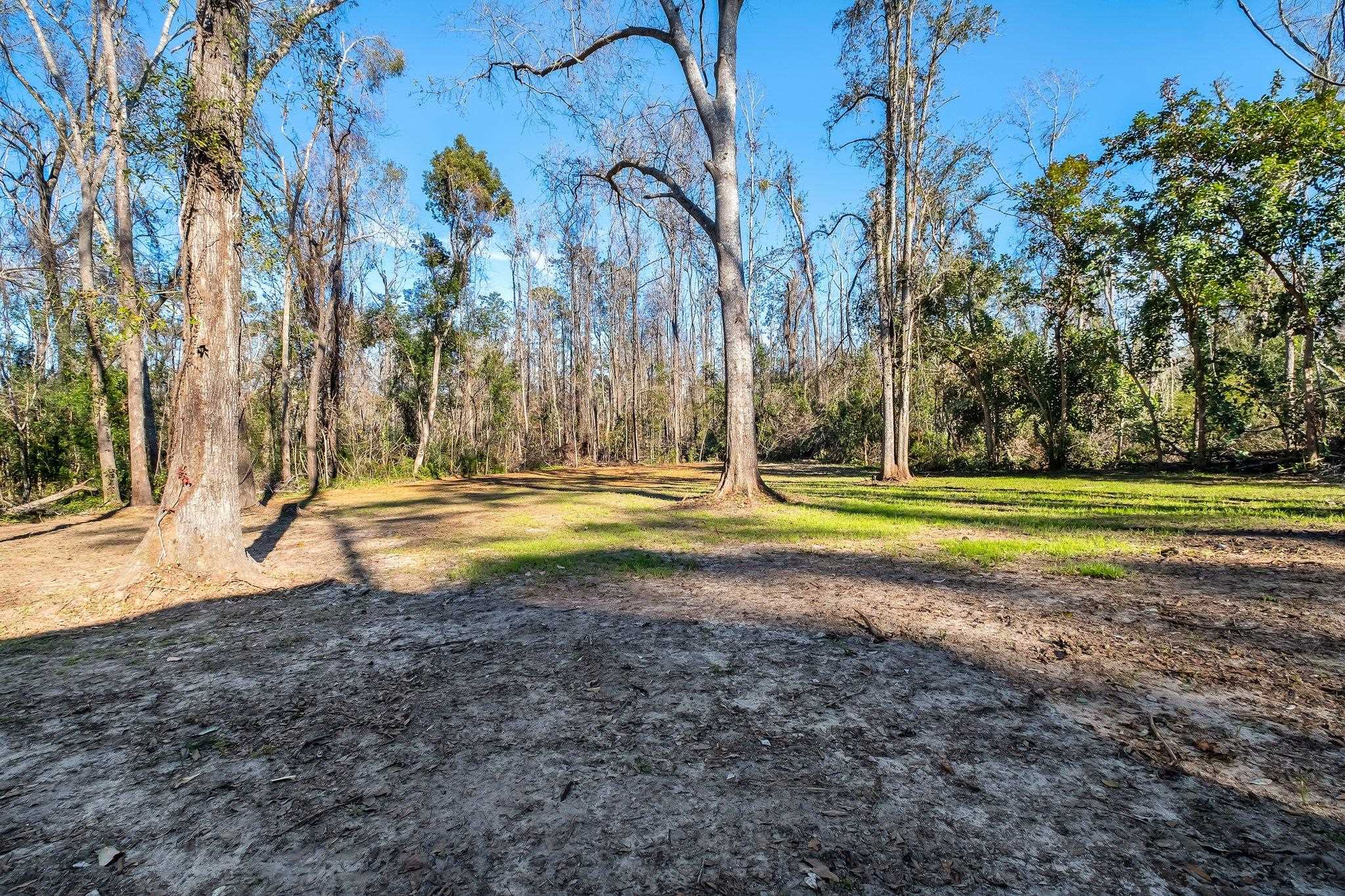 2729 Masterson Lane, Tallahassee, Florida image 39