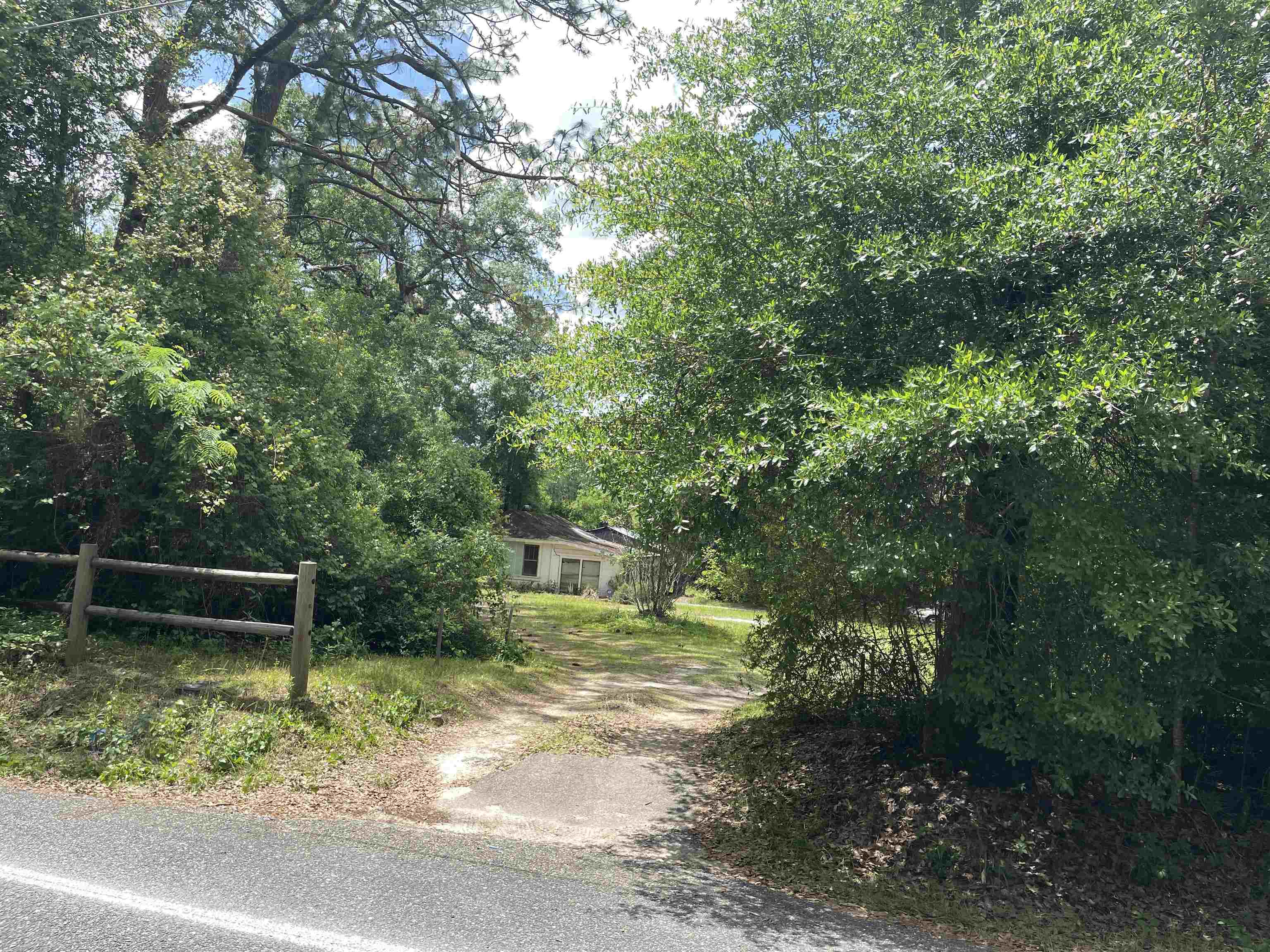 5050 Oleander Drive, Tallahassee, Florida image 3