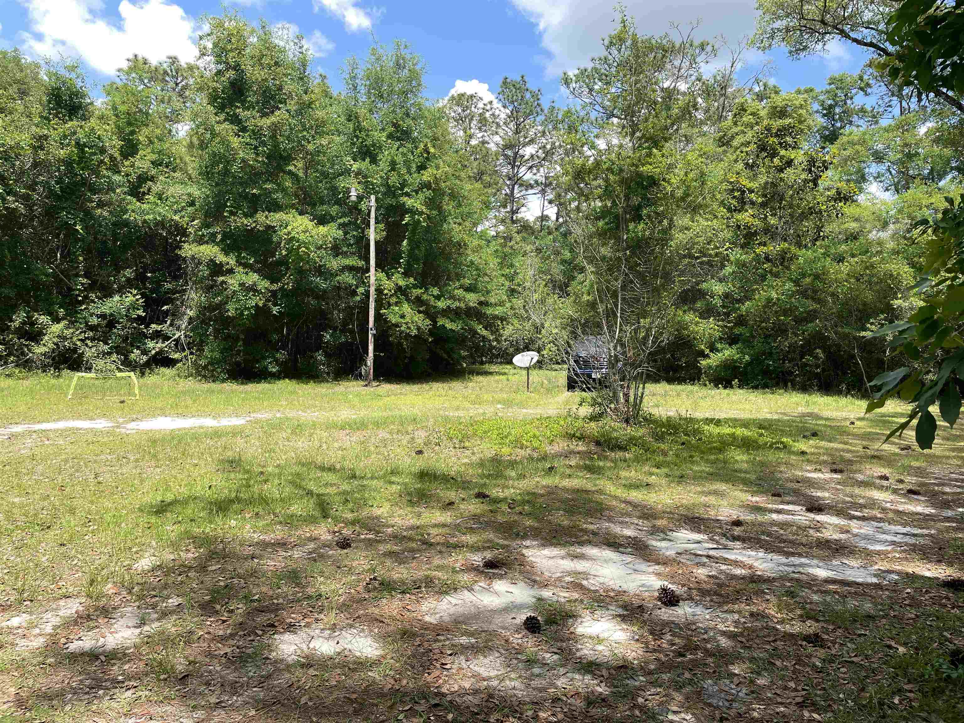 5050 Oleander Drive, Tallahassee, Florida image 6