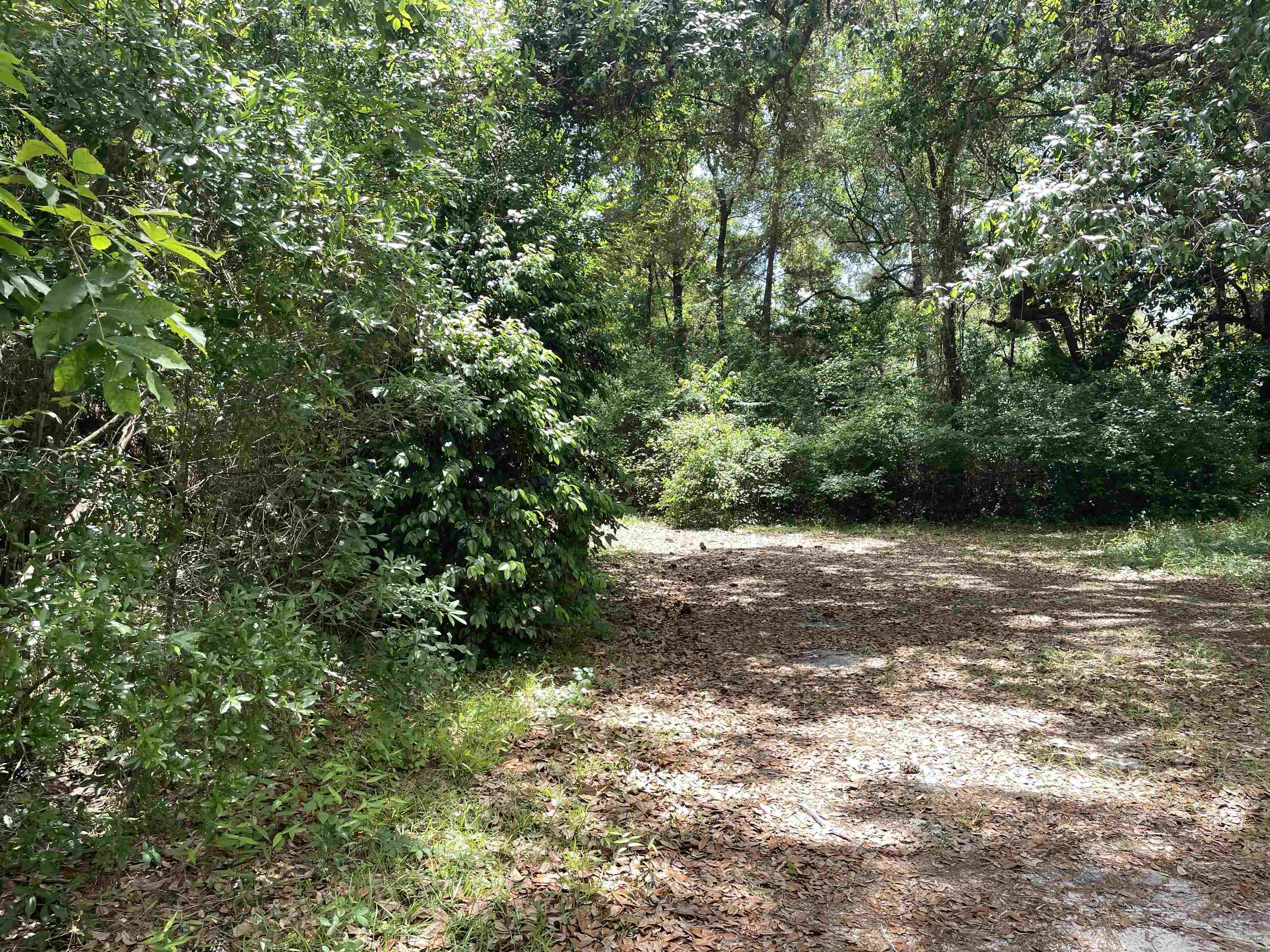 5050 Oleander Drive, Tallahassee, Florida image 7