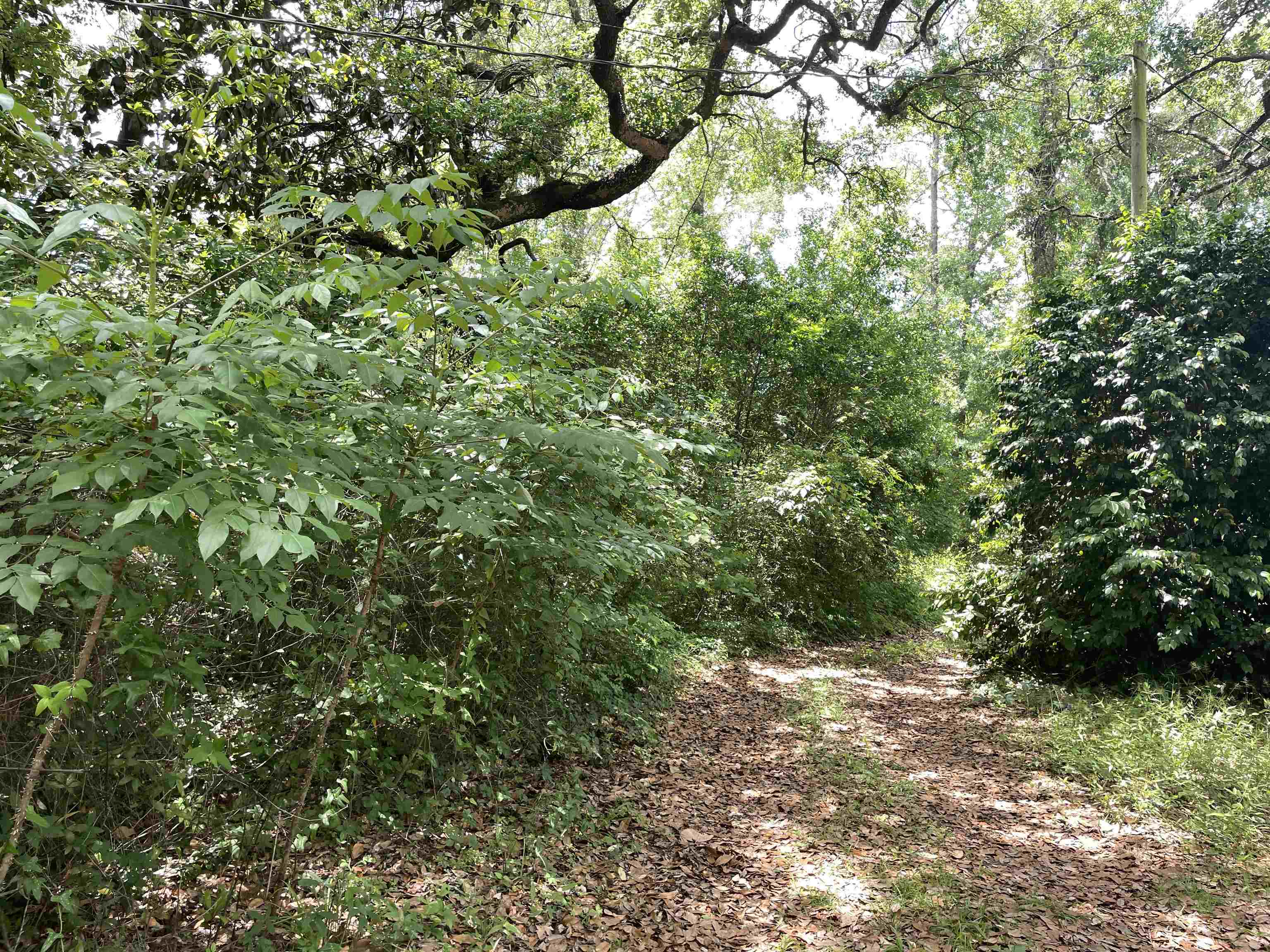 5050 Oleander Drive, Tallahassee, Florida image 9