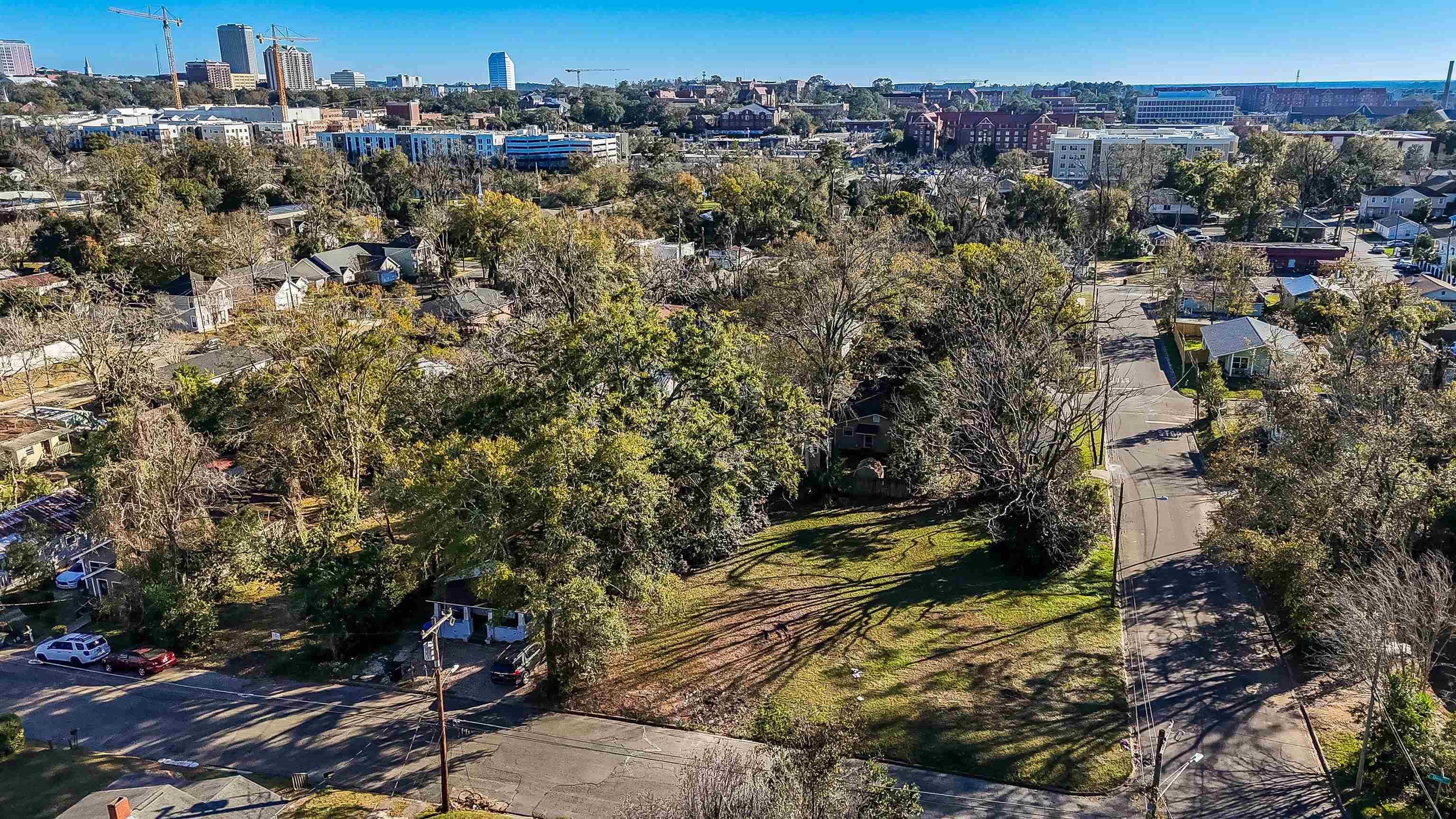 713 Dent Street, Tallahassee, Florida image 18