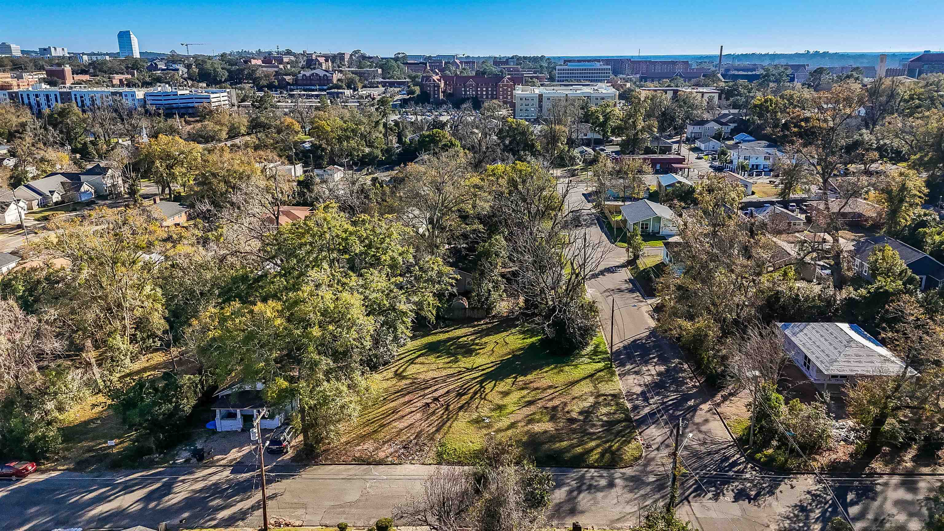 713 Dent Street, Tallahassee, Florida image 19