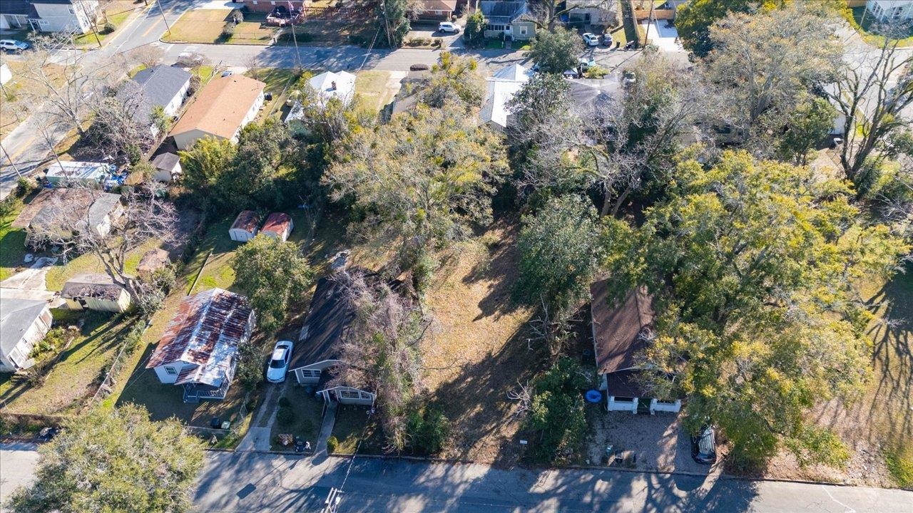 713 Dent Street, Tallahassee, Florida image 4