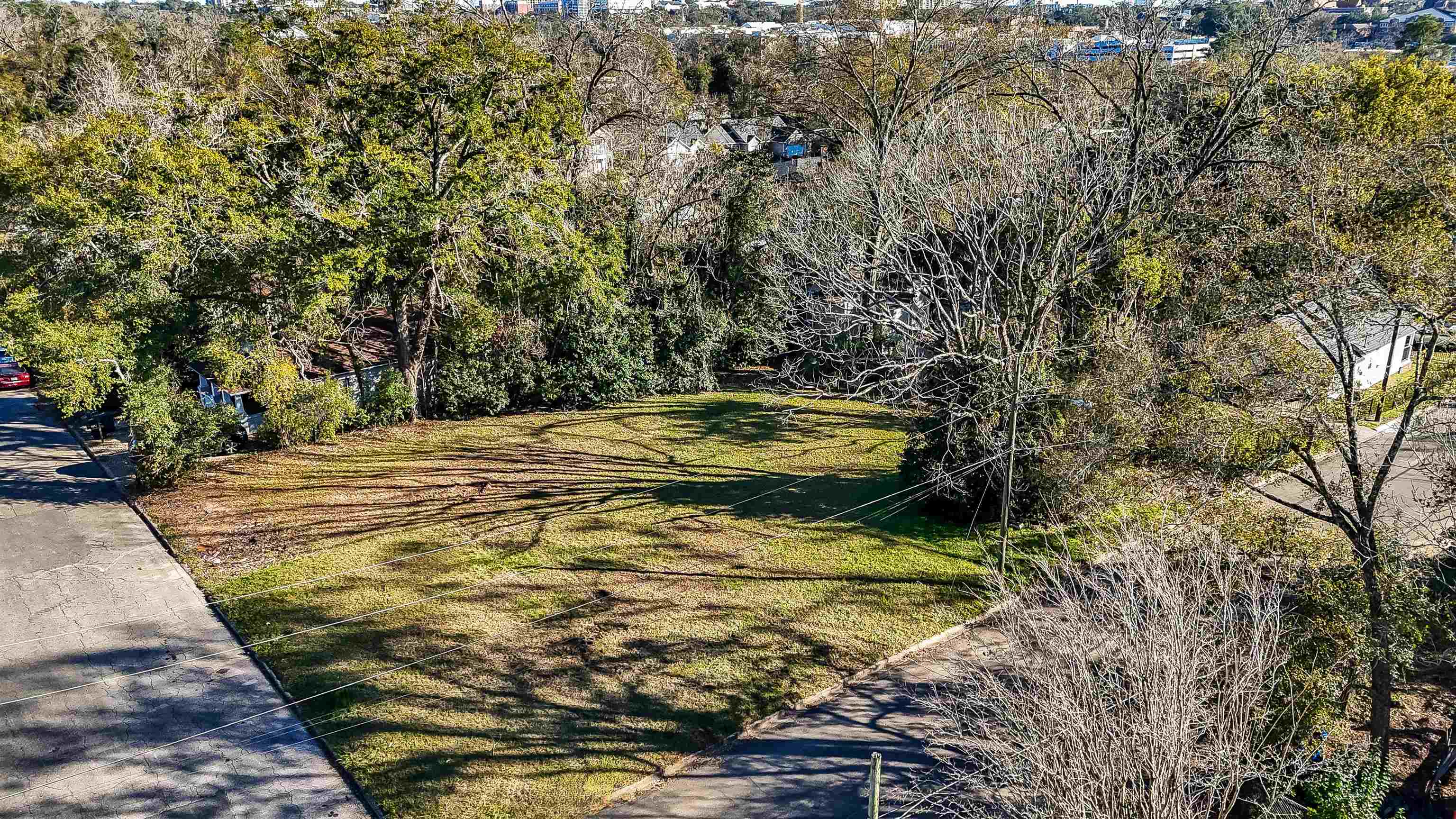 713 Dent Street, Tallahassee, Florida image 9