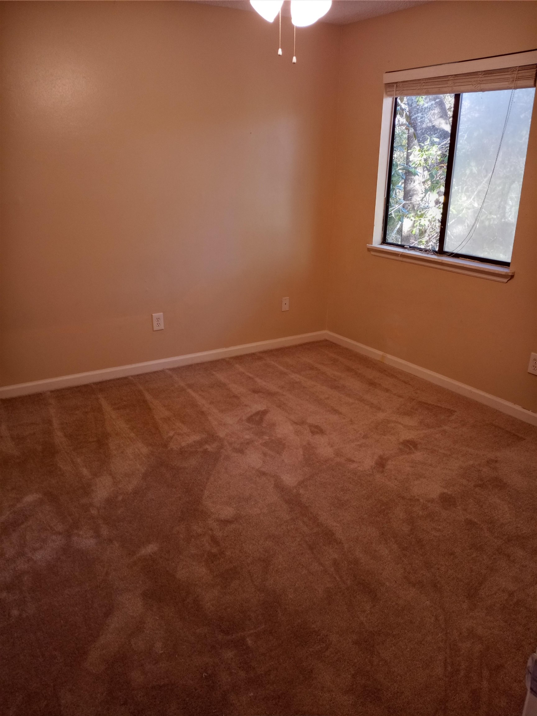 2441 Talco Hills Drive #C, Tallahassee, Florida image 4