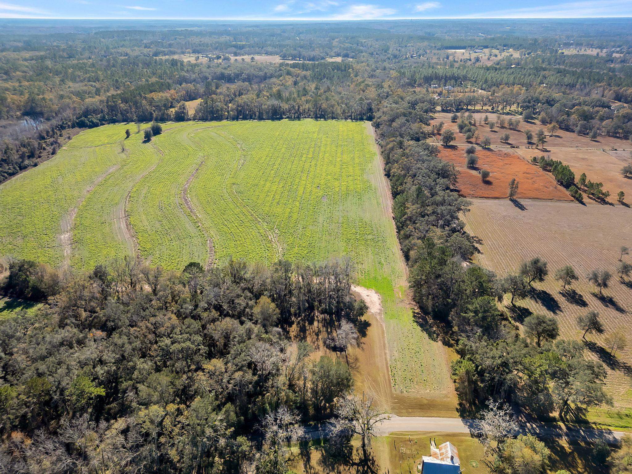 Barnes Road, Monticello, Texas image 1