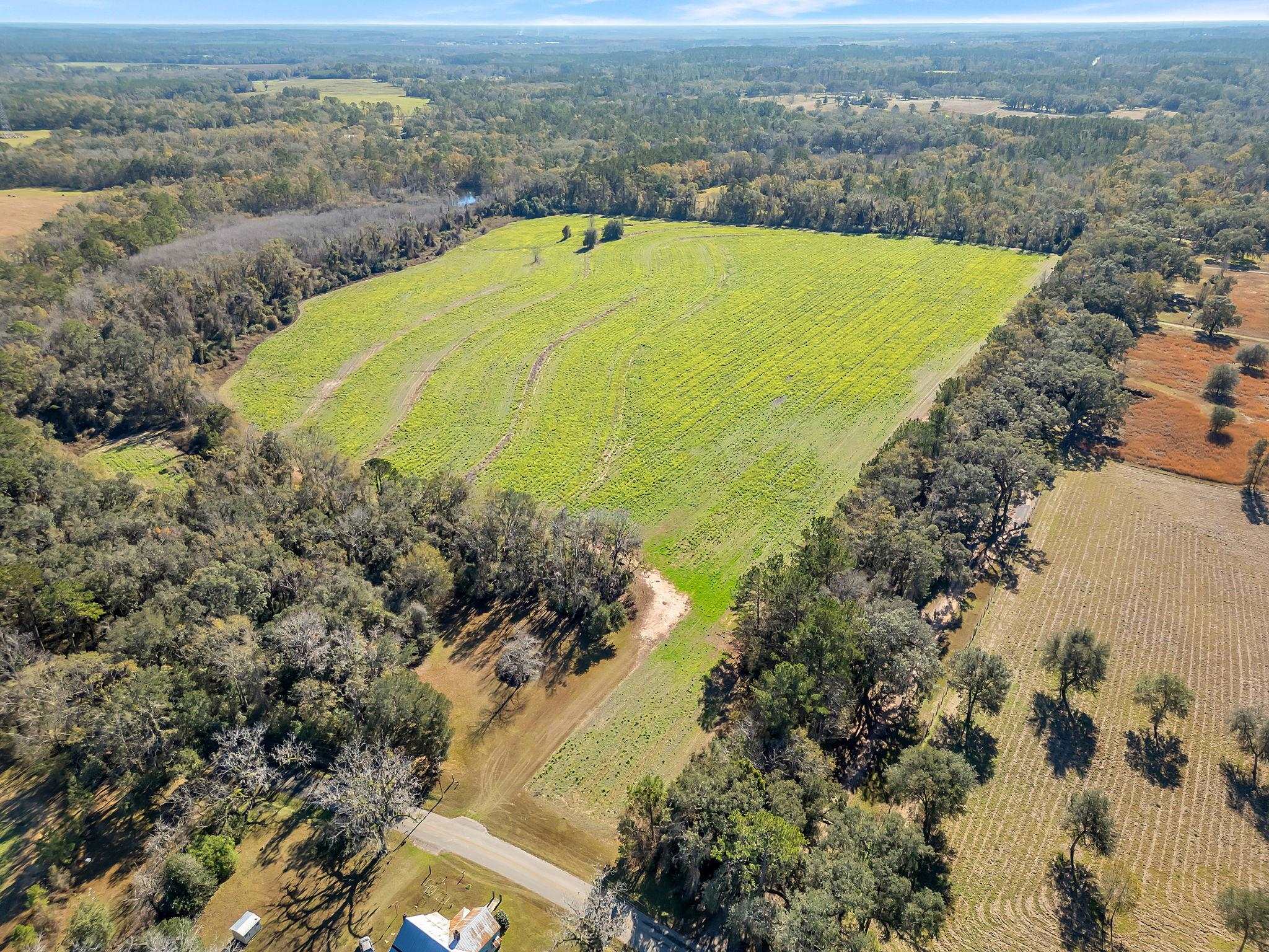 Barnes Road, Monticello, Texas image 3