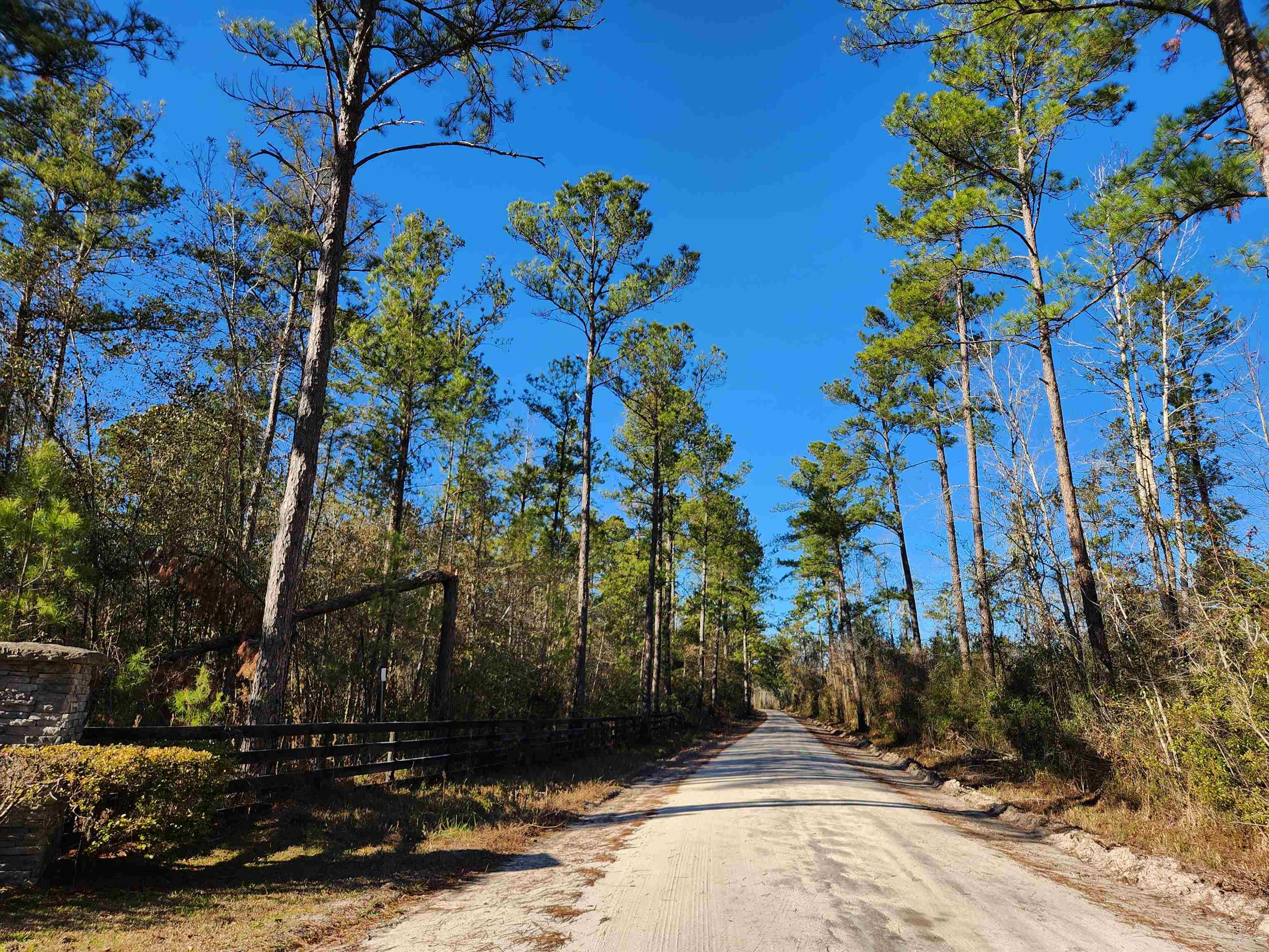 Lot 116 SW Pier Road, Greenville, Florida image 13