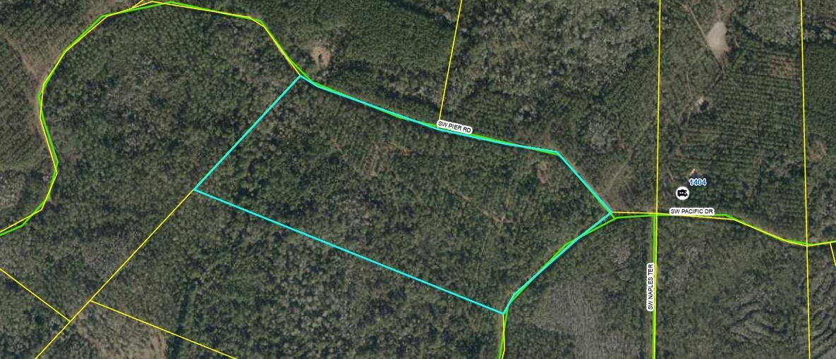 Lot 116 SW Pier Road, Greenville, Florida image 9