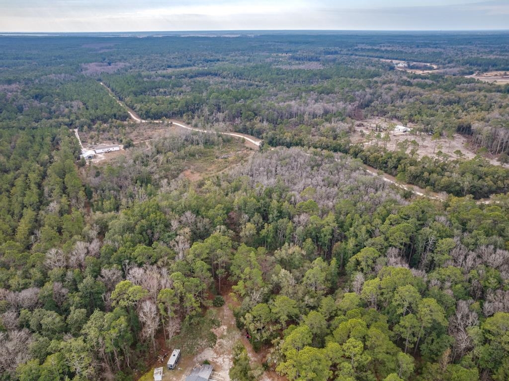 1251 Sopchoppy Highway, Sopchoppy, Texas image 38