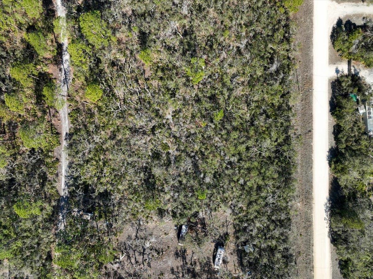 Fiddlers Way, Keaton Beach, Florida image 16