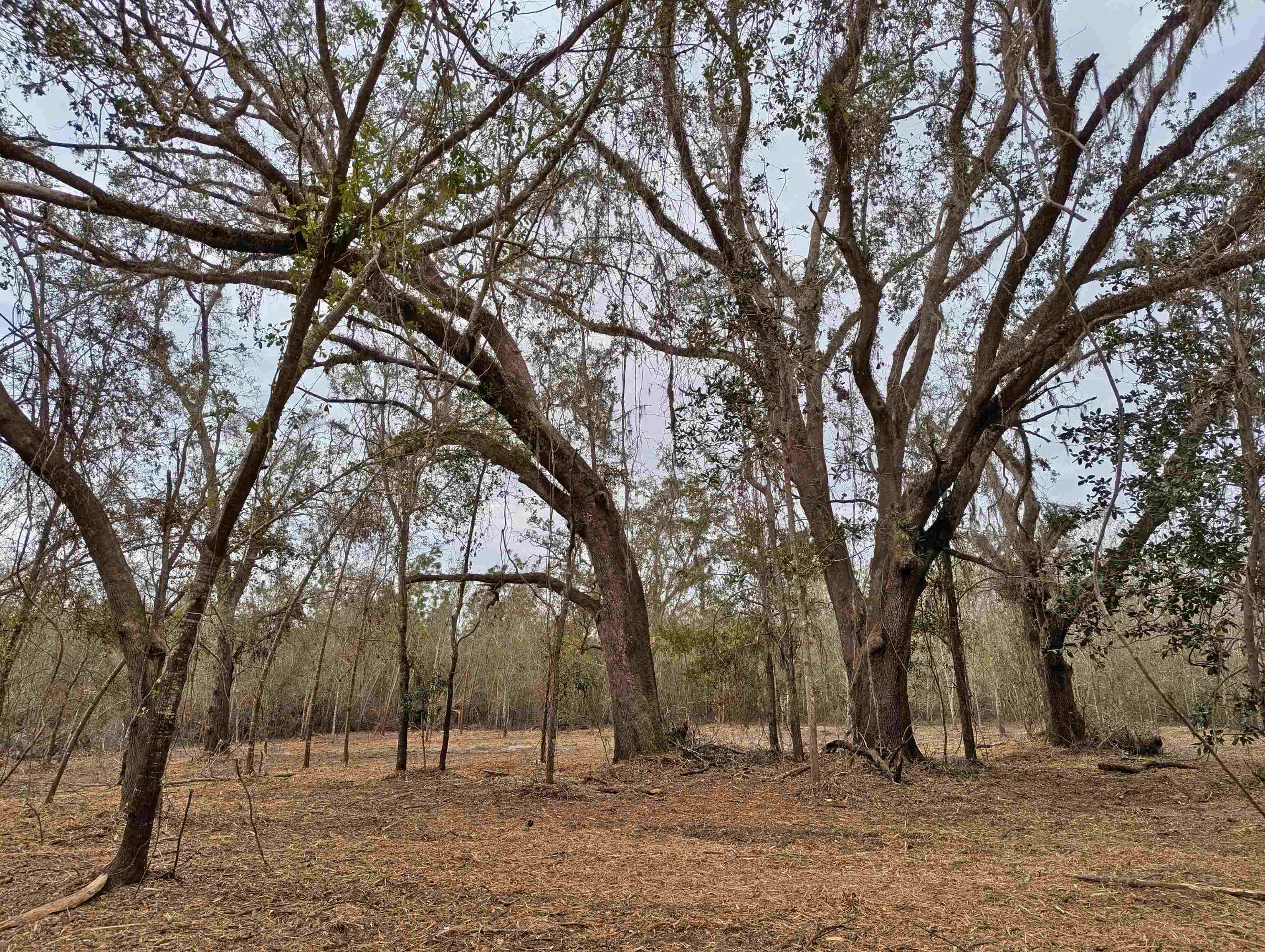 SE Farm Road, Lee, Texas image 1