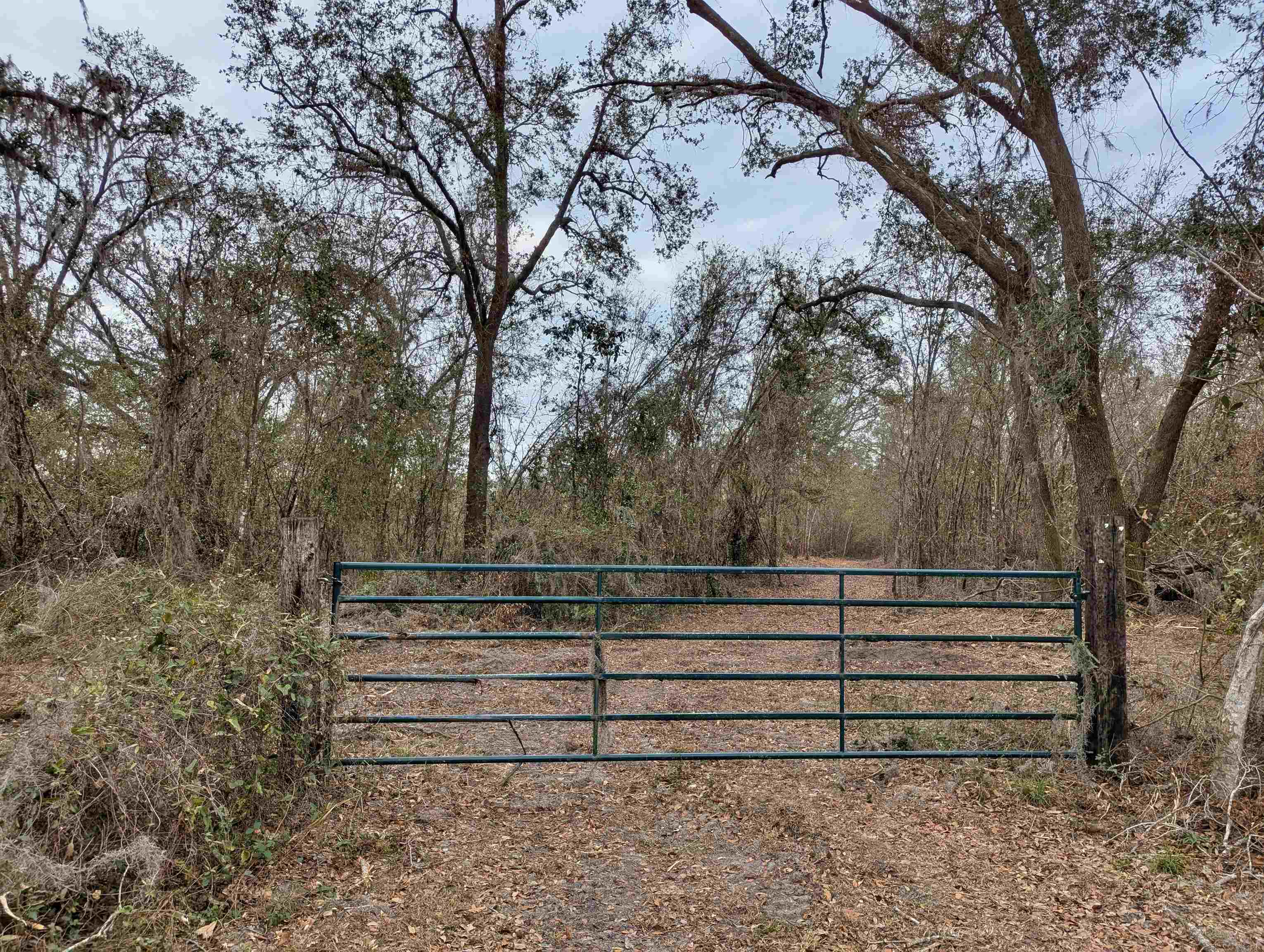 SE Farm Road, Lee, Texas image 2