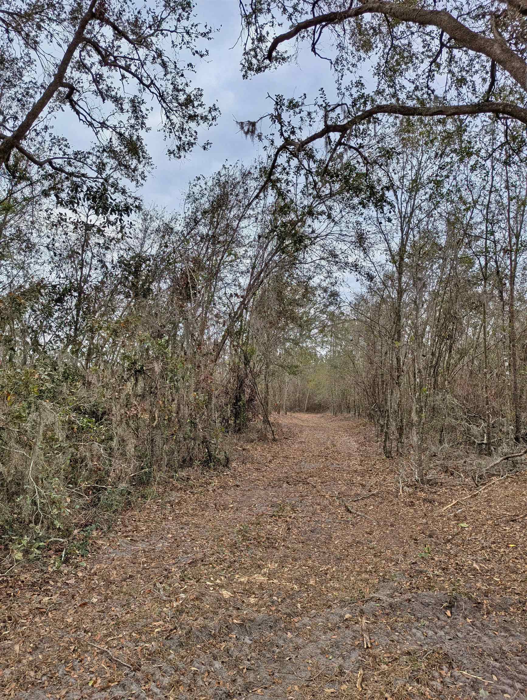 SE Farm Road, Lee, Texas image 3