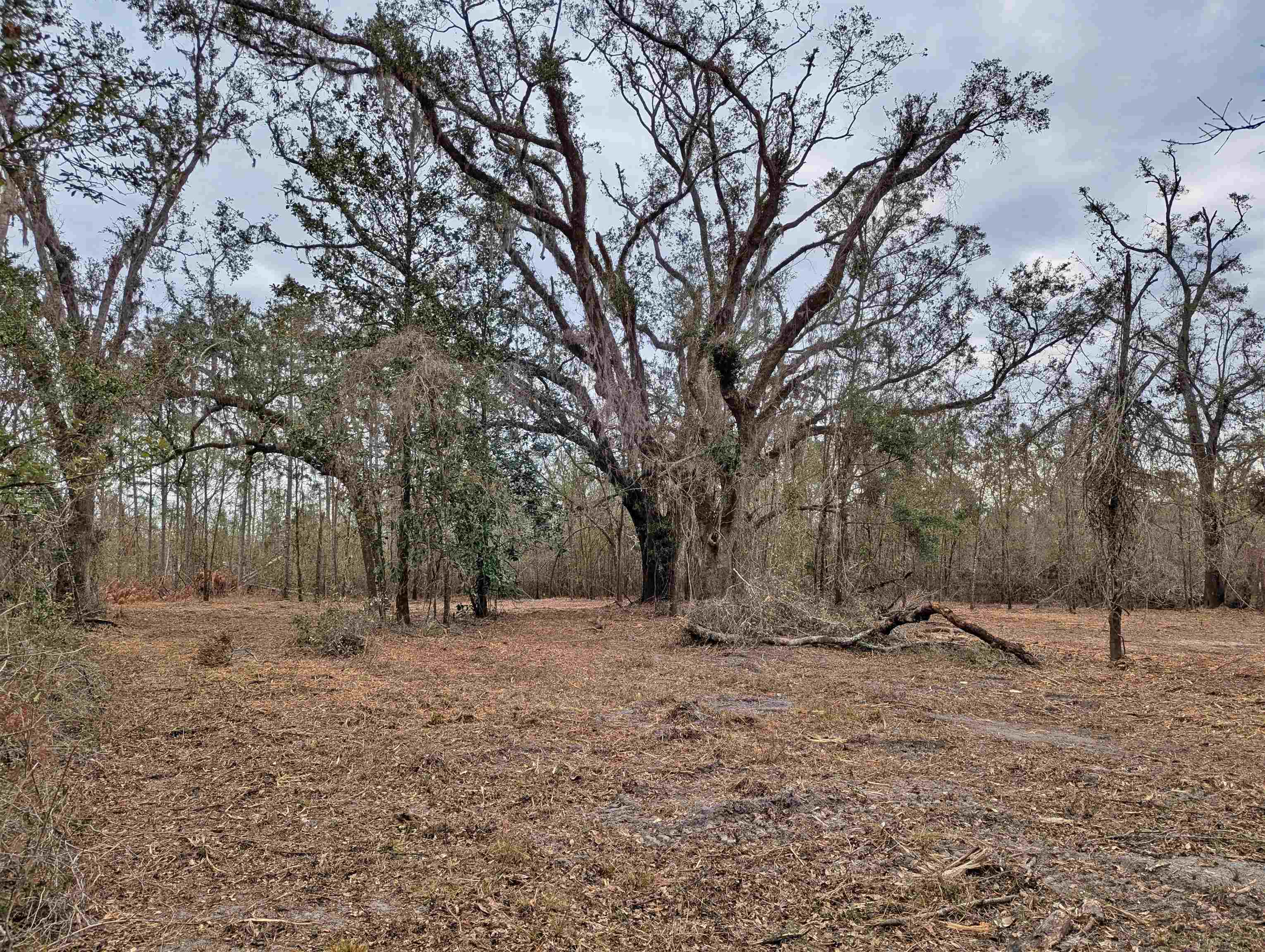 SE Farm Road, Lee, Texas image 4