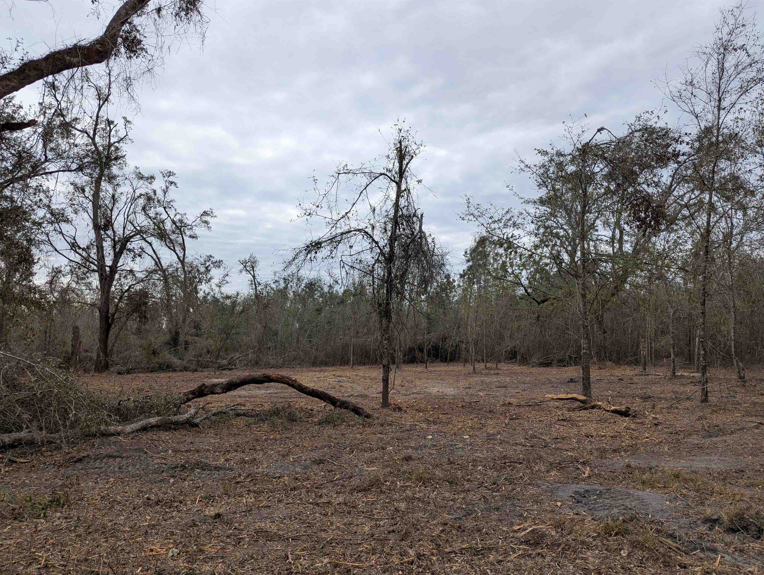 SE Farm Road, Lee, Texas image 5