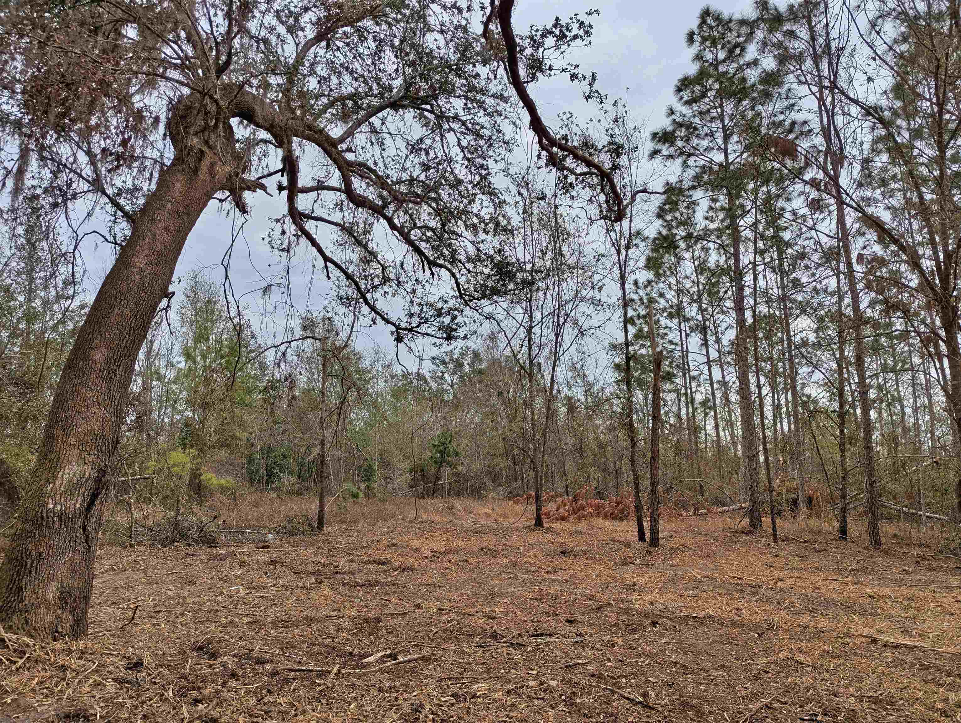 SE Farm Road, Lee, Texas image 6