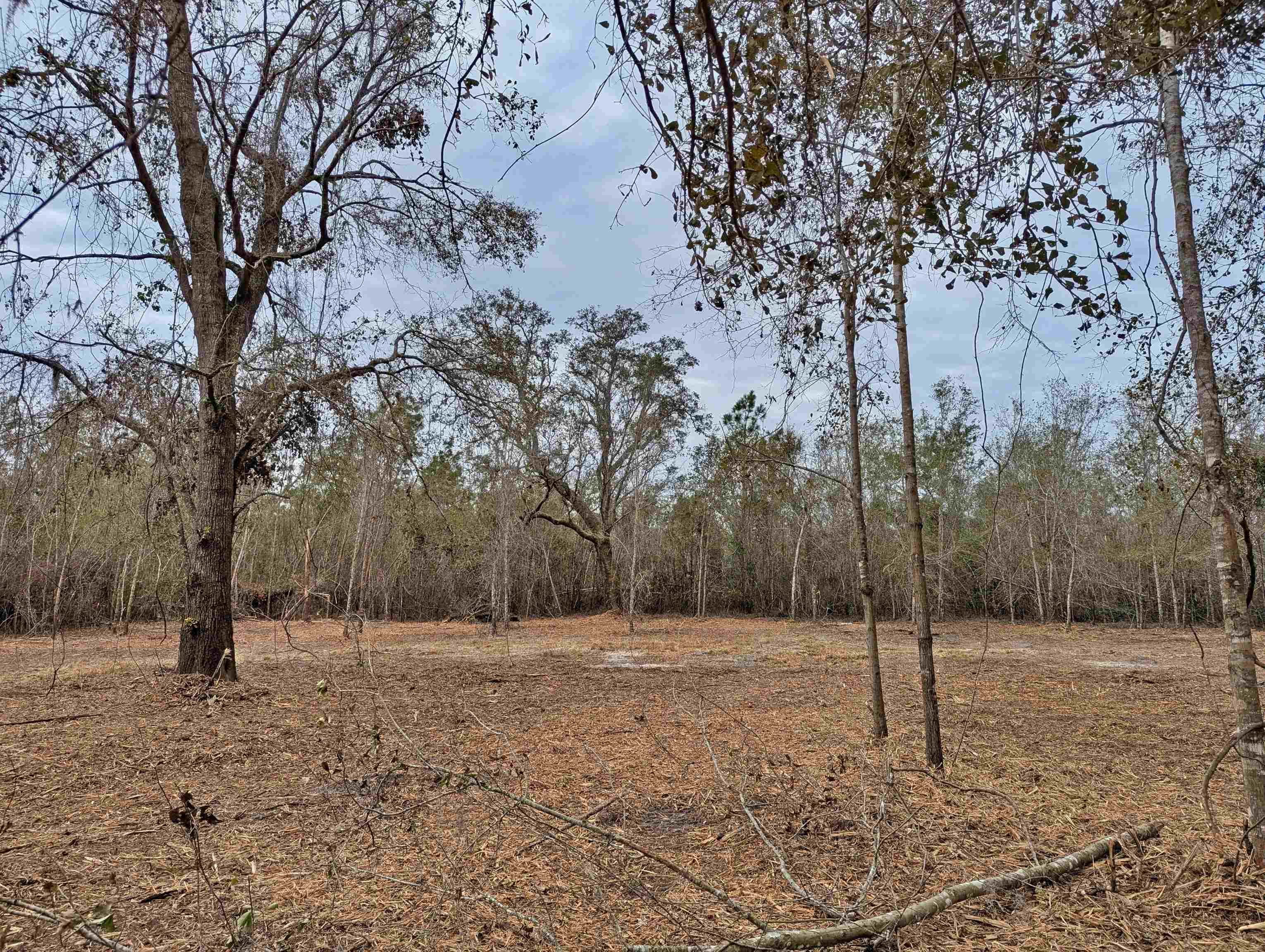 SE Farm Road, Lee, Texas image 8