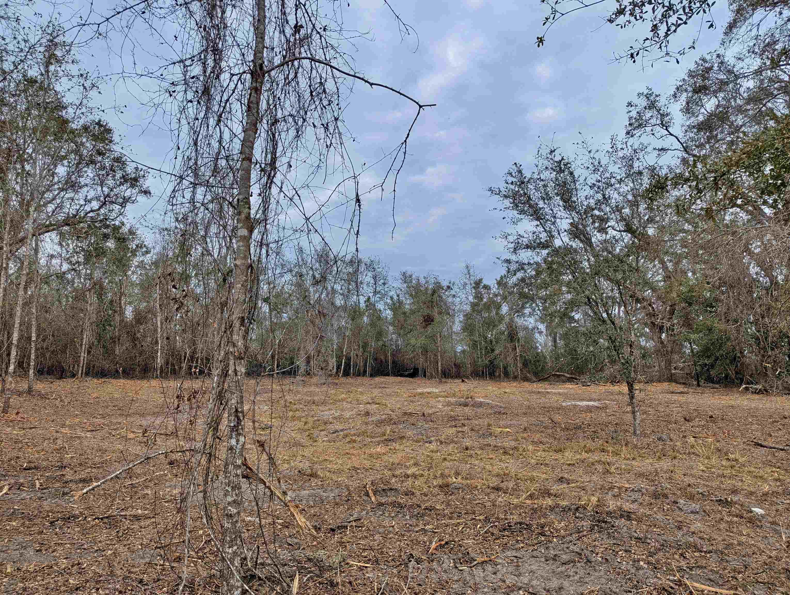 SE Farm Road, Lee, Texas image 9