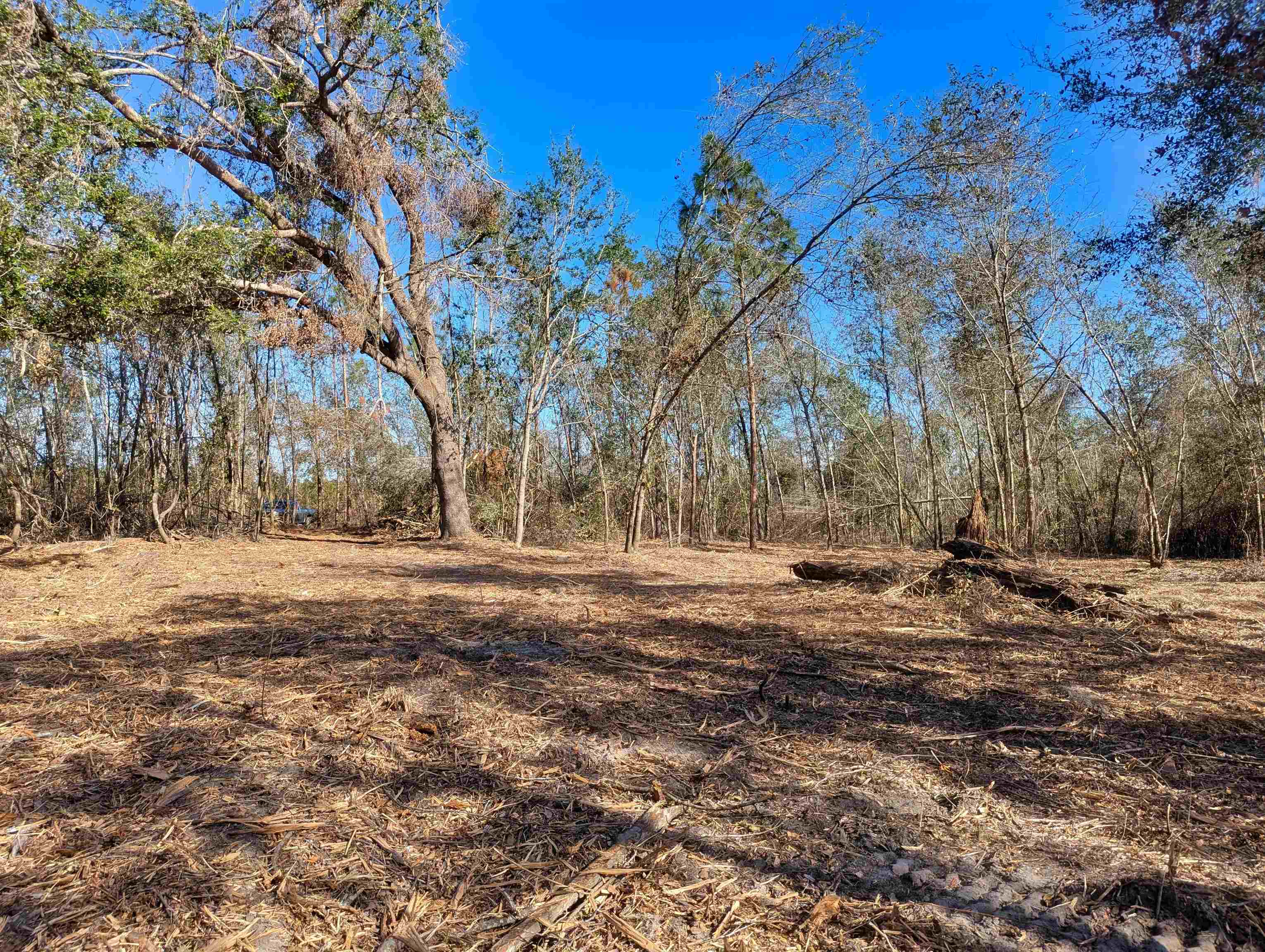 SE Farm Road, Lee, Texas image 1