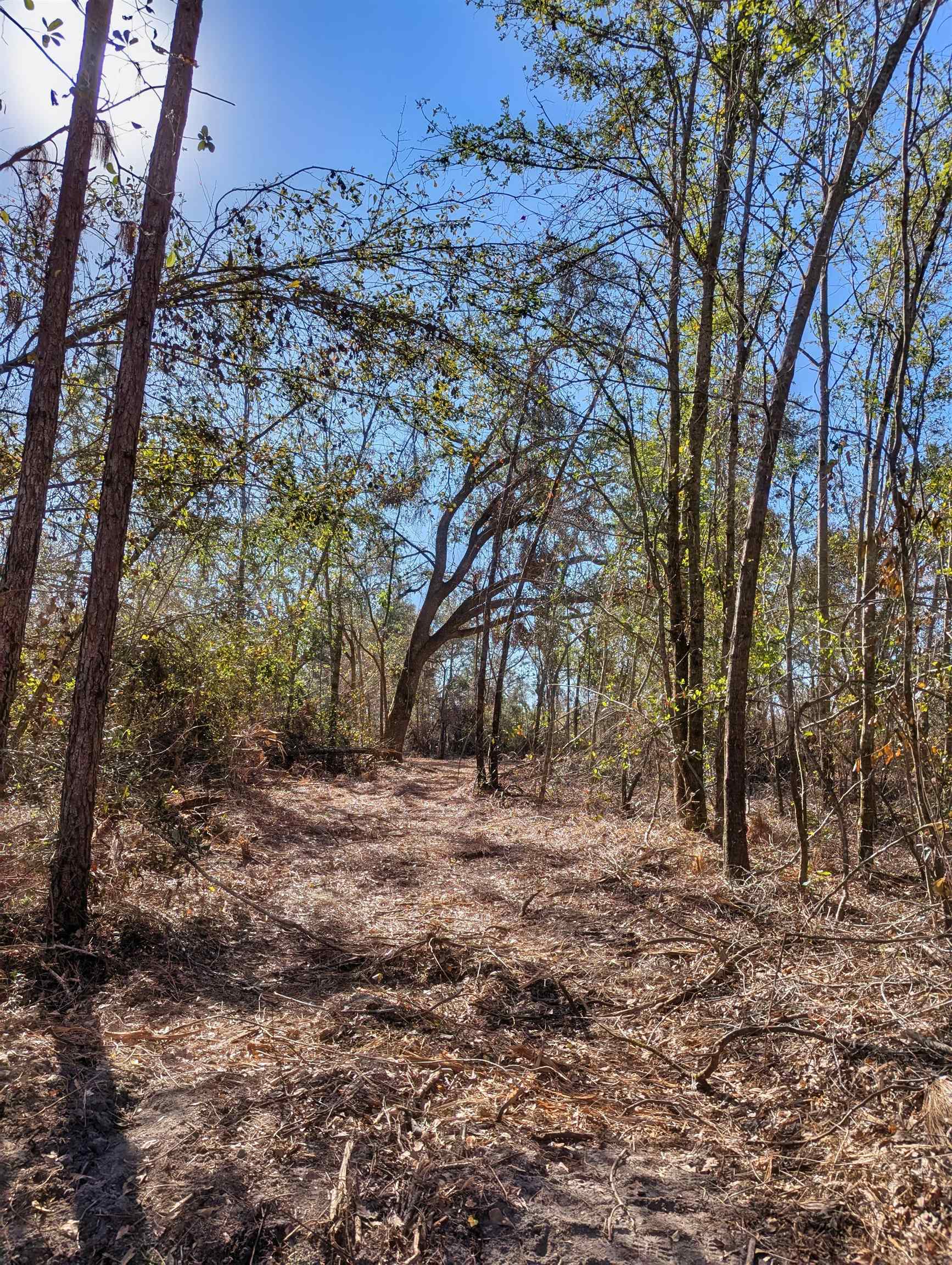 SE Farm Road, Lee, Texas image 2