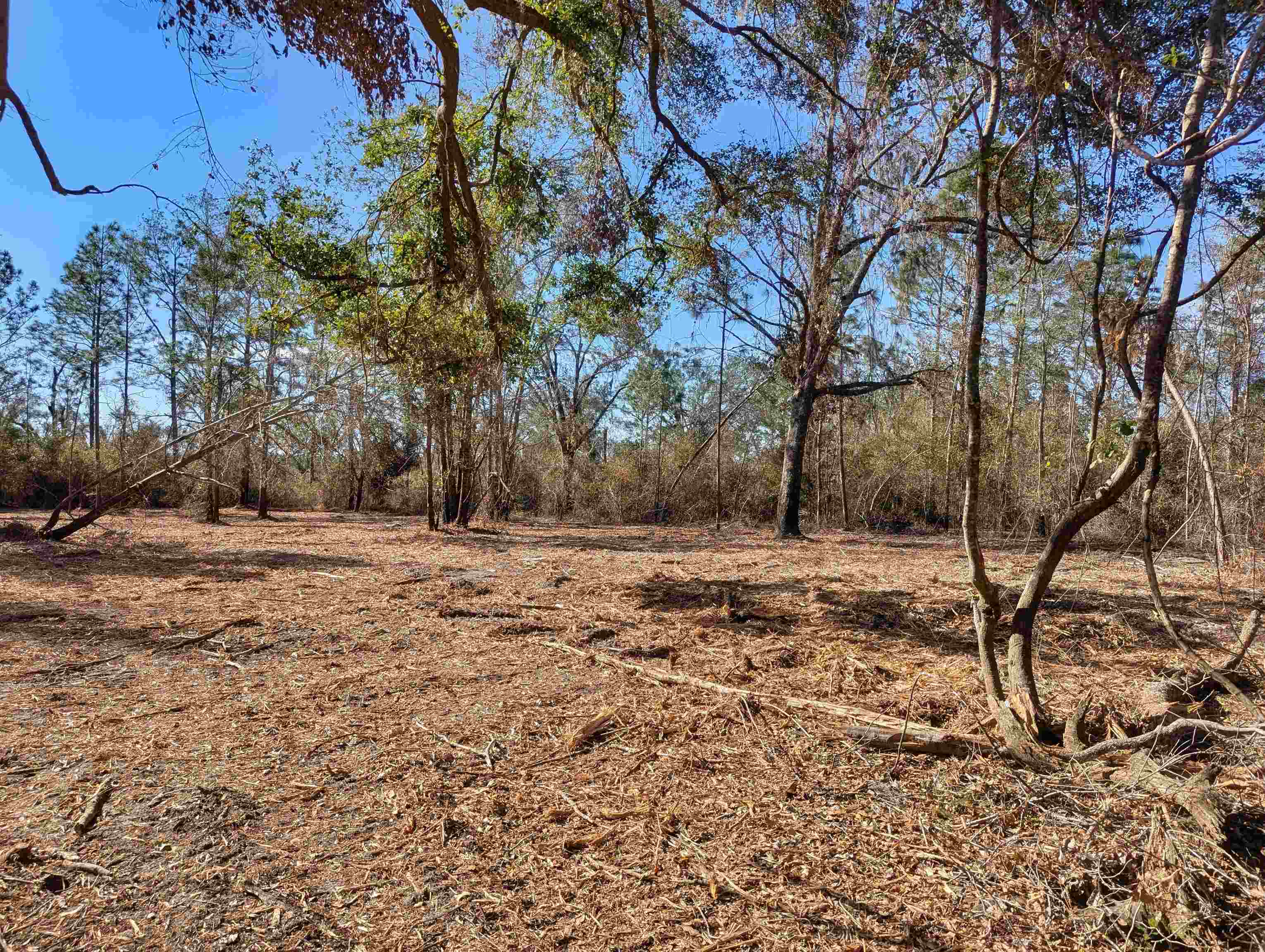 SE Farm Road, Lee, Texas image 3