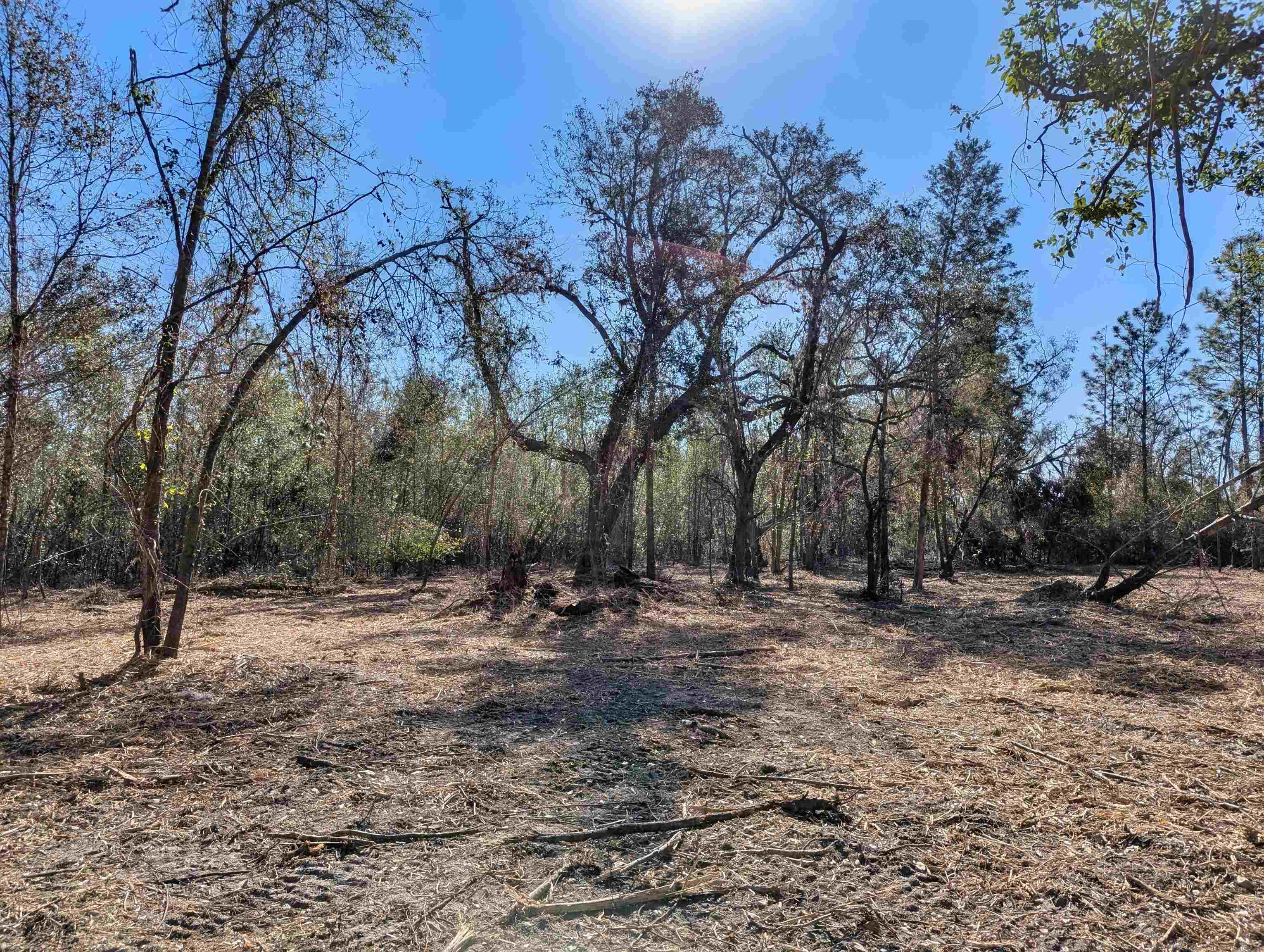 SE Farm Road, Lee, Texas image 4