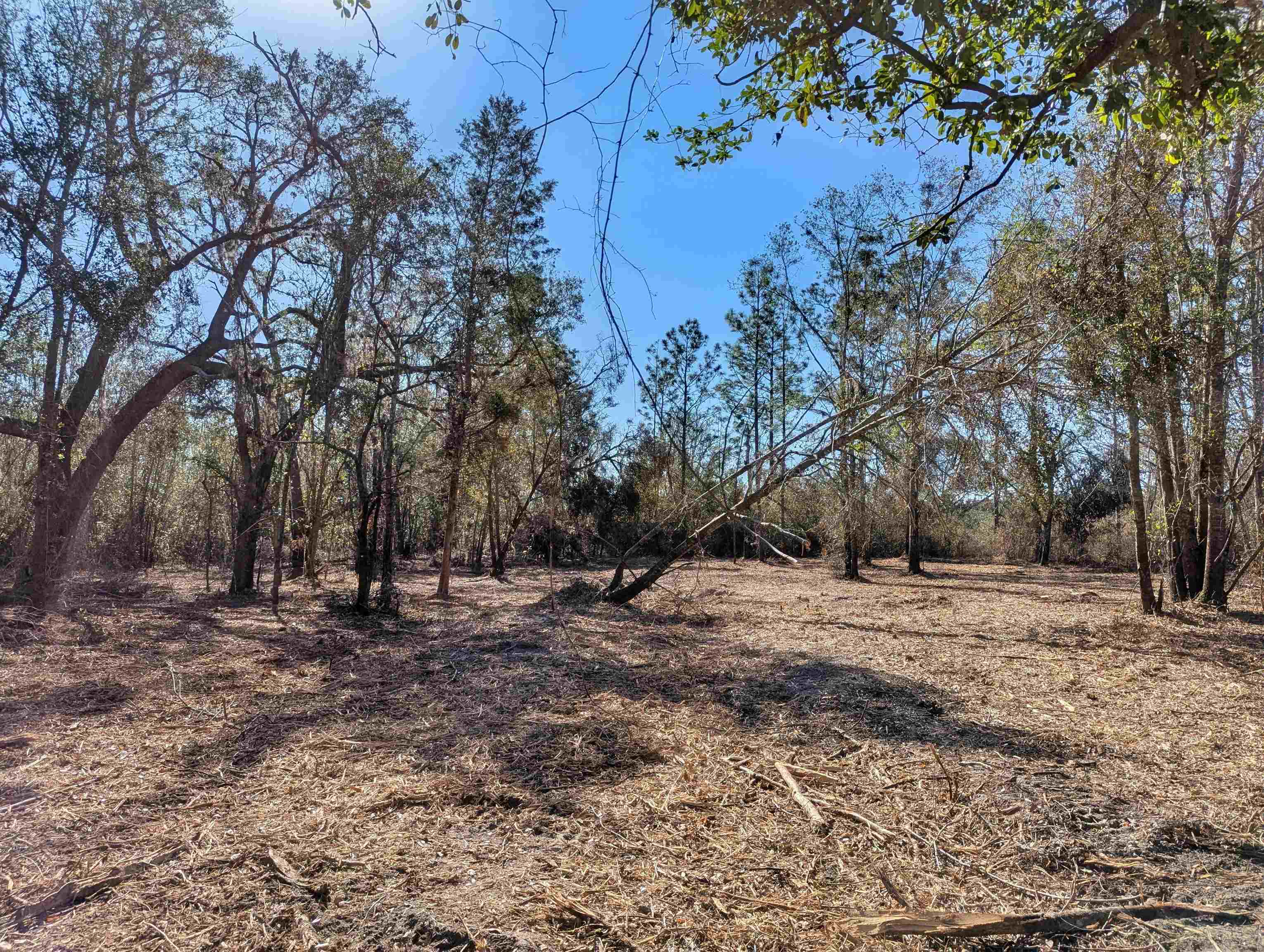 SE Farm Road, Lee, Texas image 5