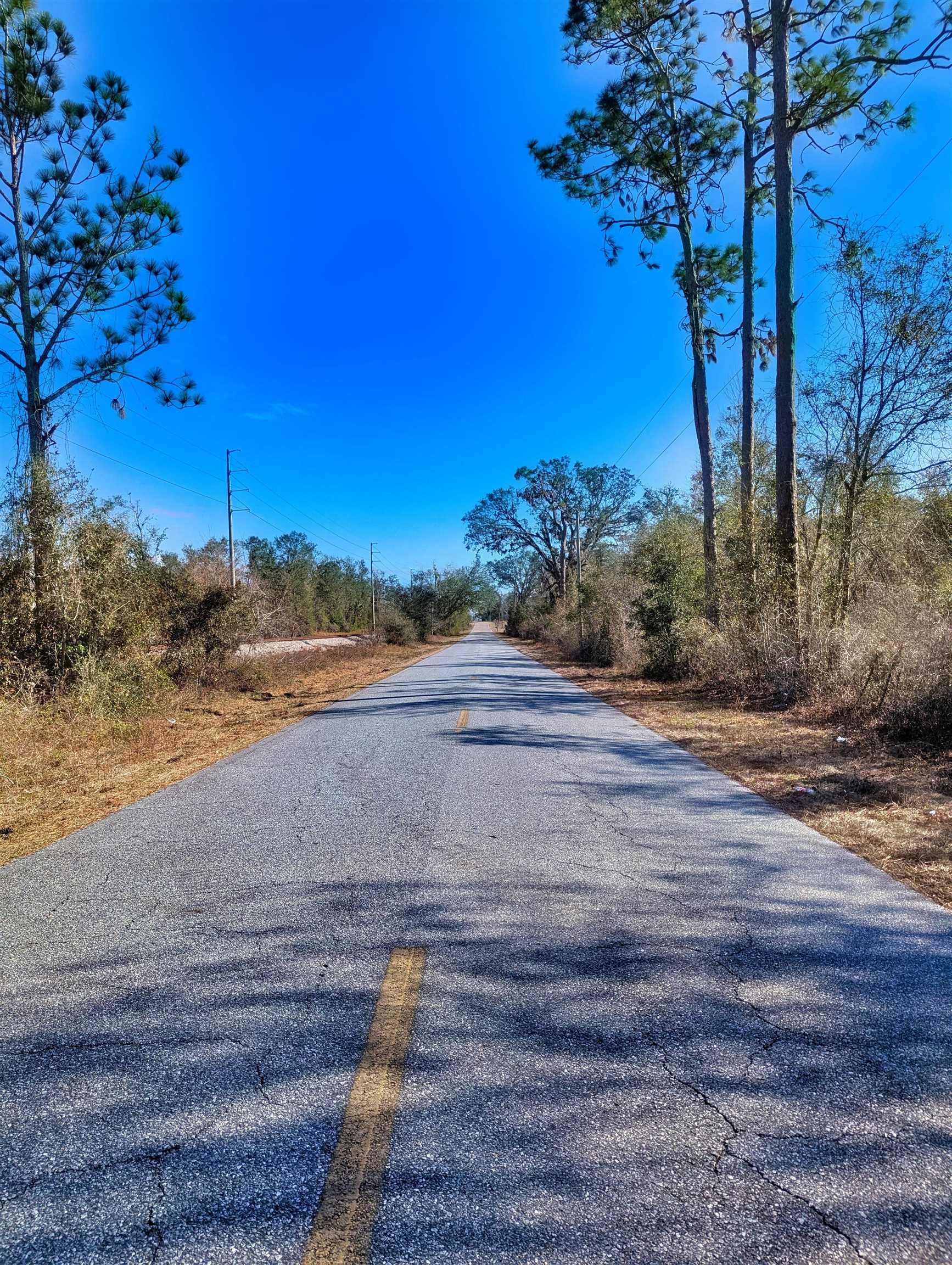 SE Farm Road, Lee, Texas image 6