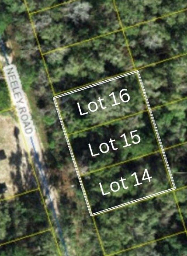 Lot 14 Neeley Road, Crawfordville, Florida image 1