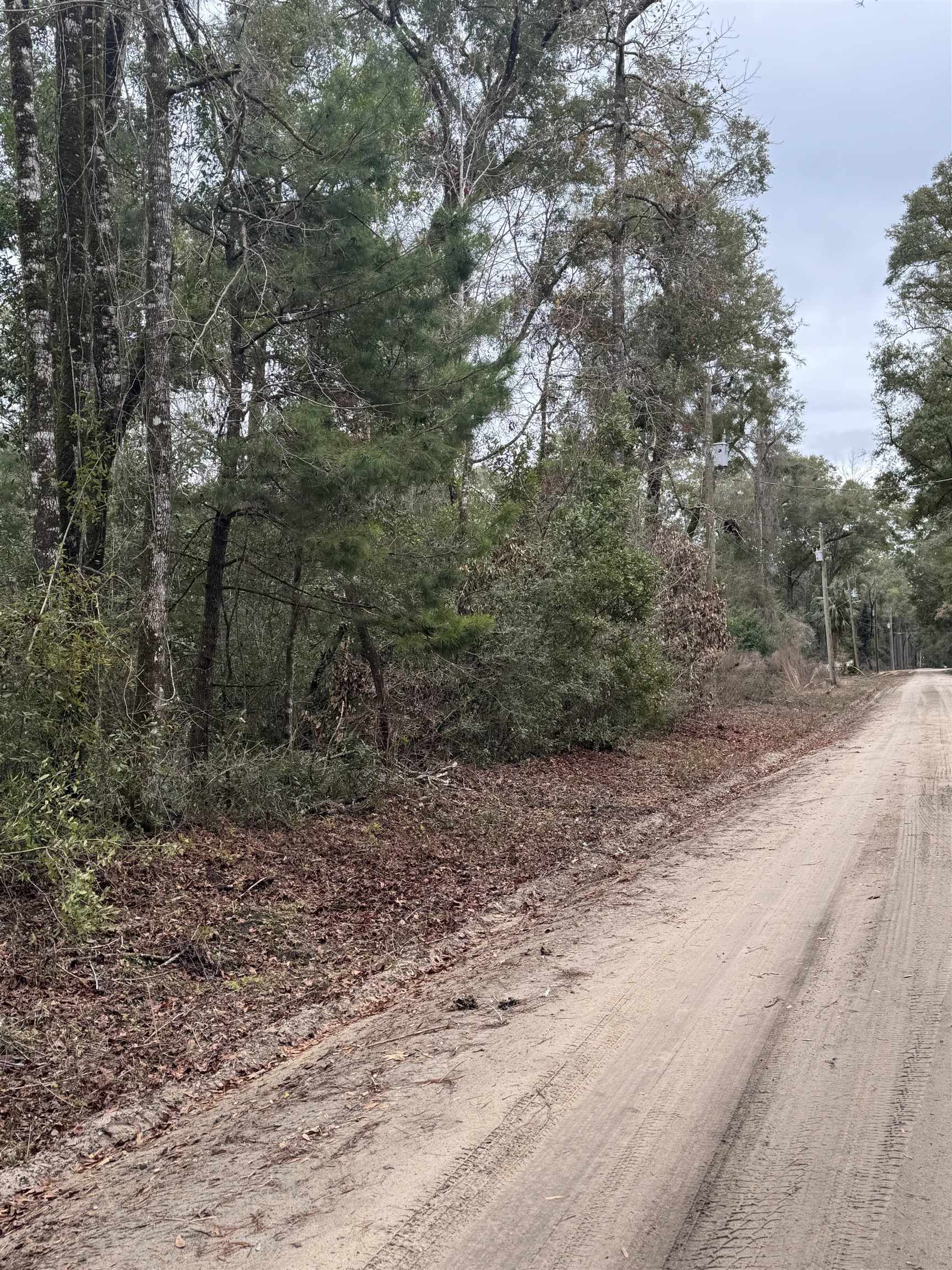 Lot 14 Neeley Road, Crawfordville, Florida image 2