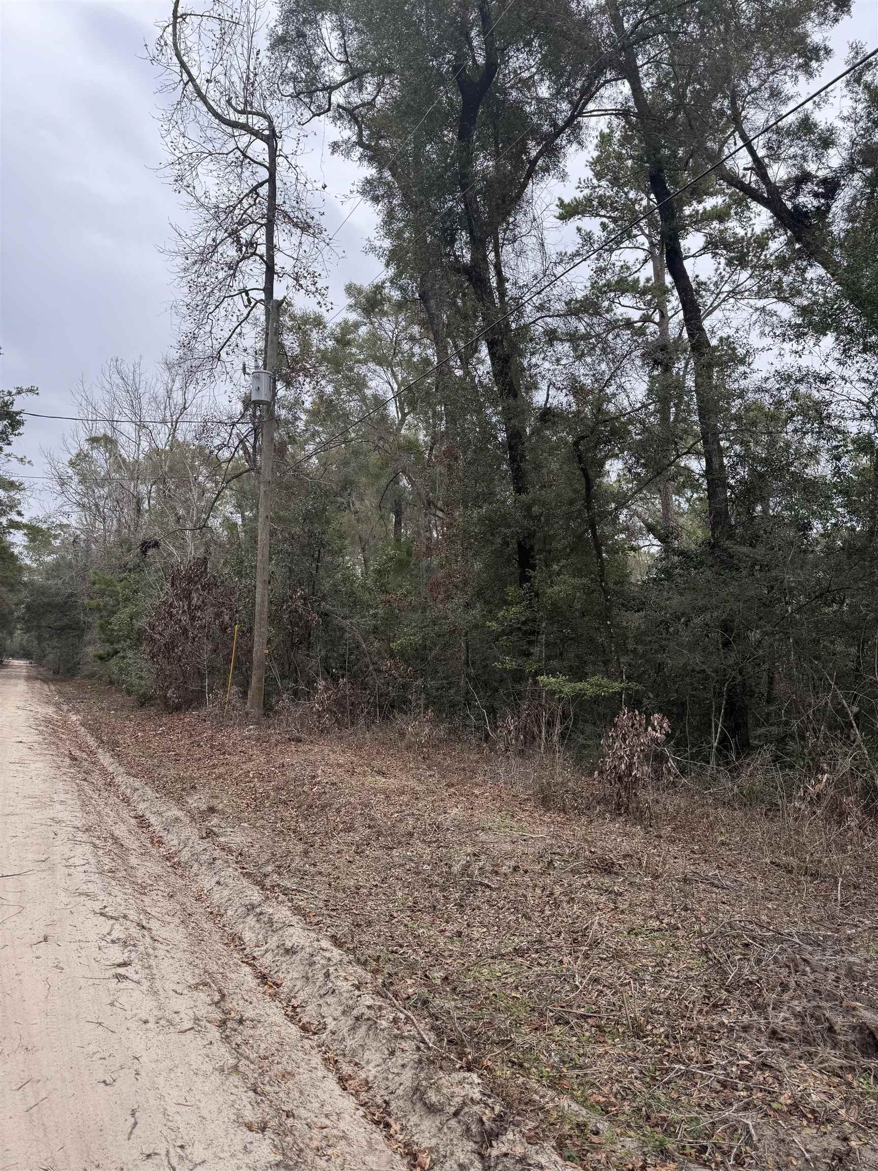 Lot 14 Neeley Road, Crawfordville, Florida image 3