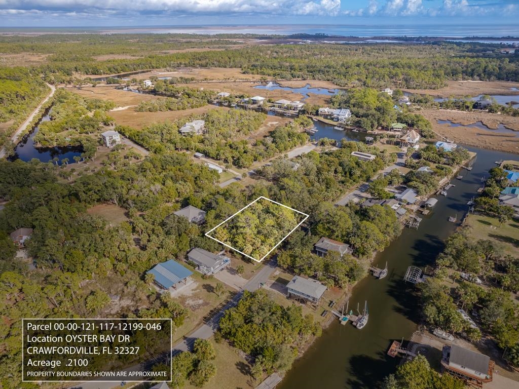 XX Oyster Bay Drive, Crawfordville, Florida image 1