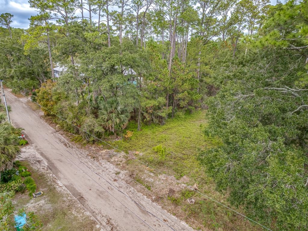 XX River Drive, Panacea, Florida image 26