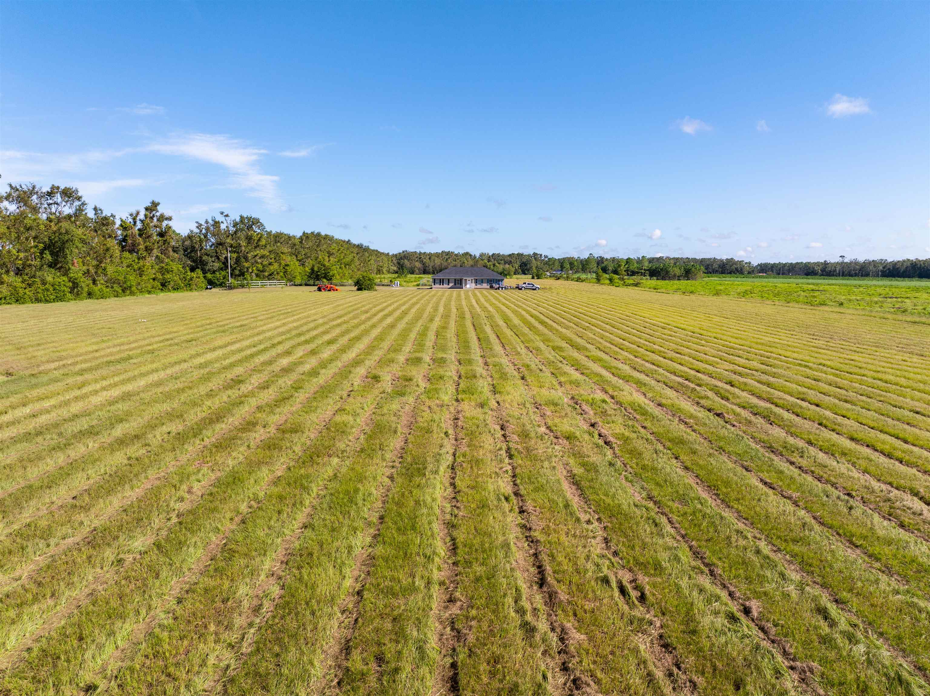 188 NW Lofton Rd, Mayo, Florida image 31