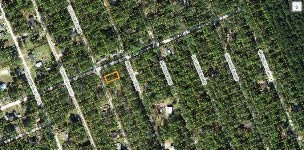 XX Choctaw Rd Lot 33, Crawfordville, Florida image 1