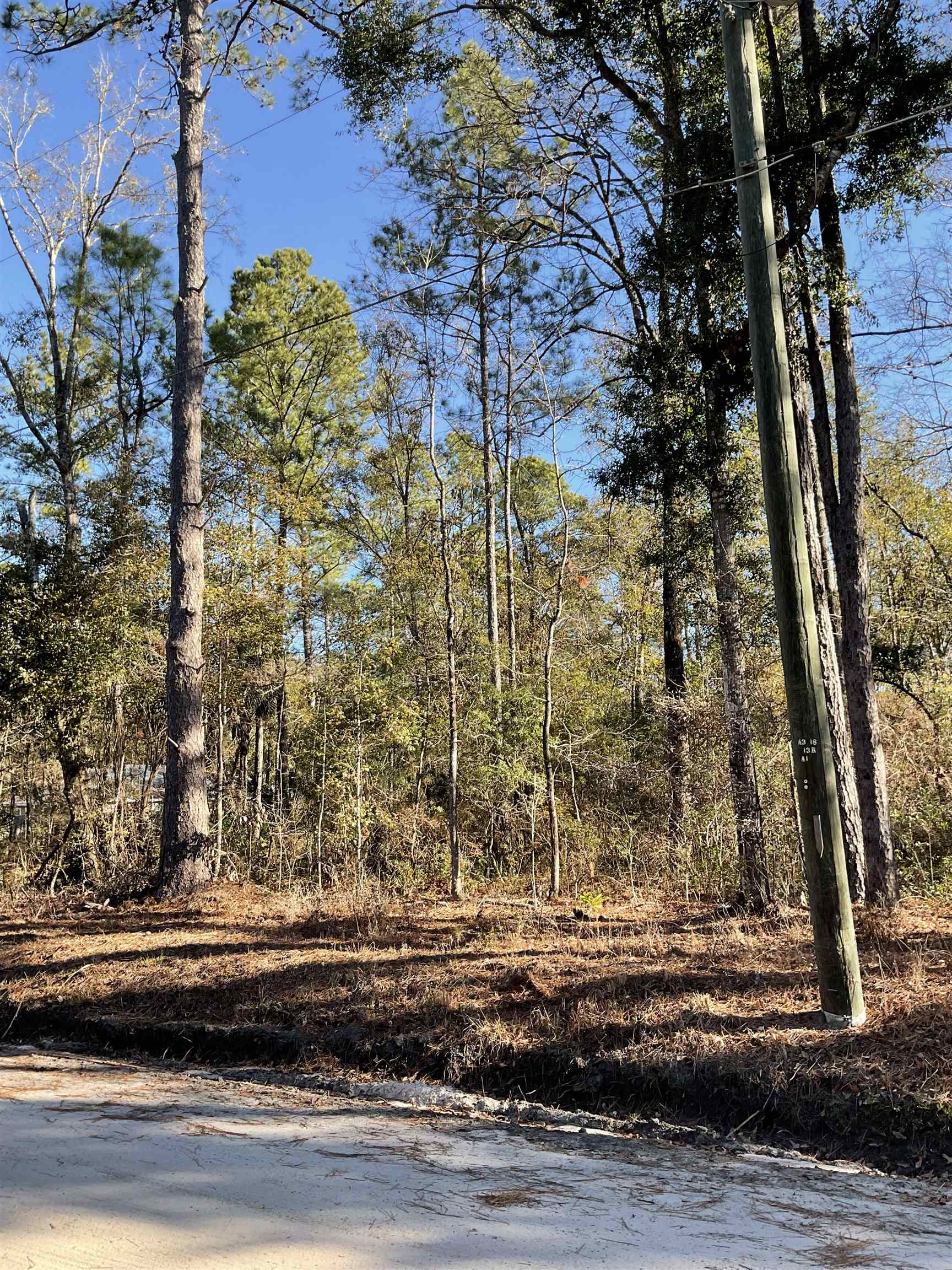 XX Choctaw Rd Lot 33, Crawfordville, Florida image 3