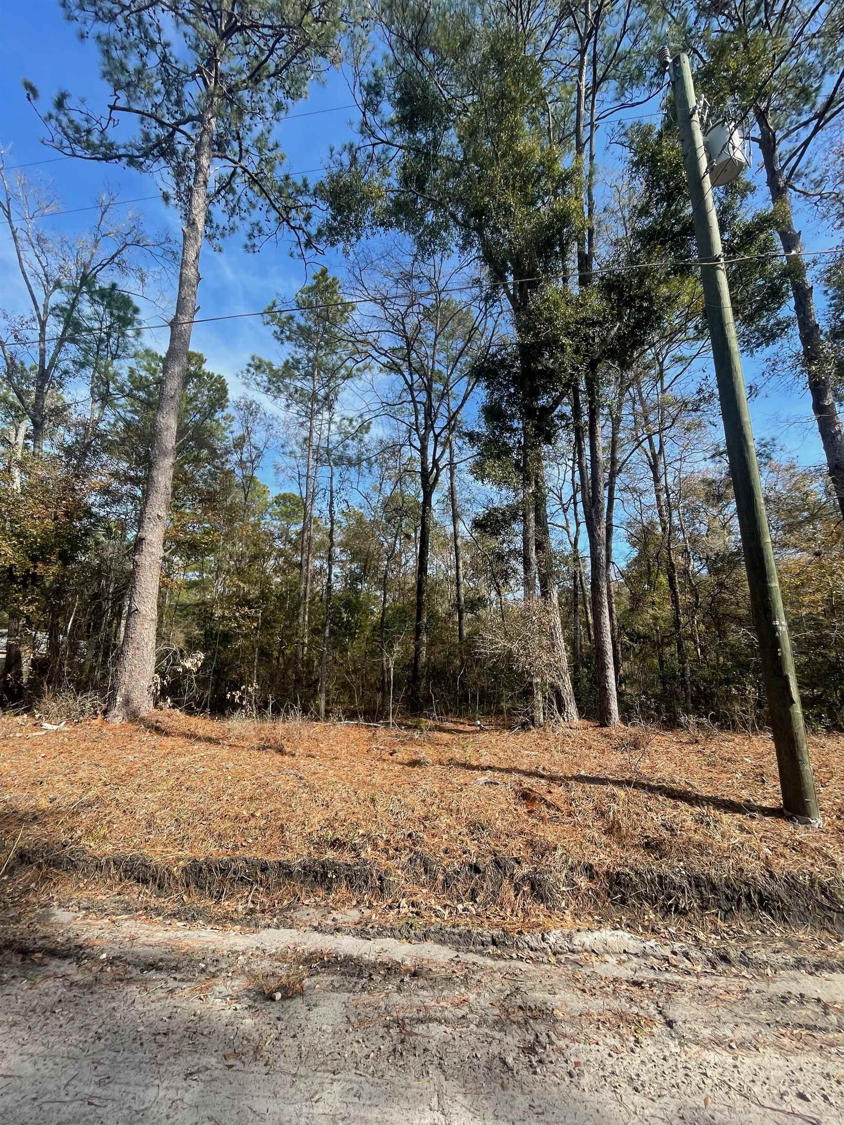 XX Choctaw Rd Lot 33, Crawfordville, Florida image 4