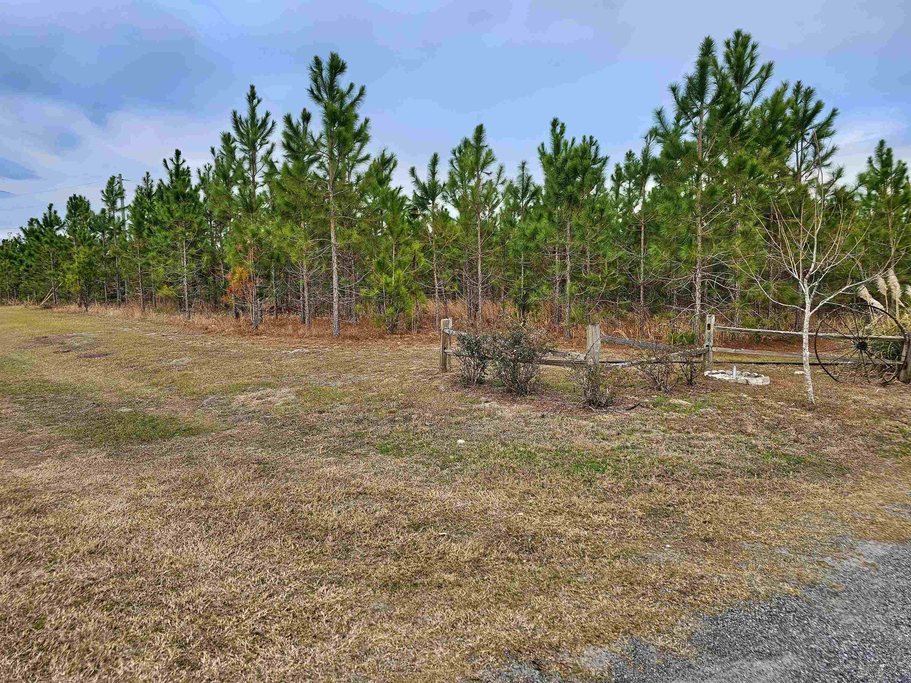 9319 S Cr 53, Madison, Texas image 30