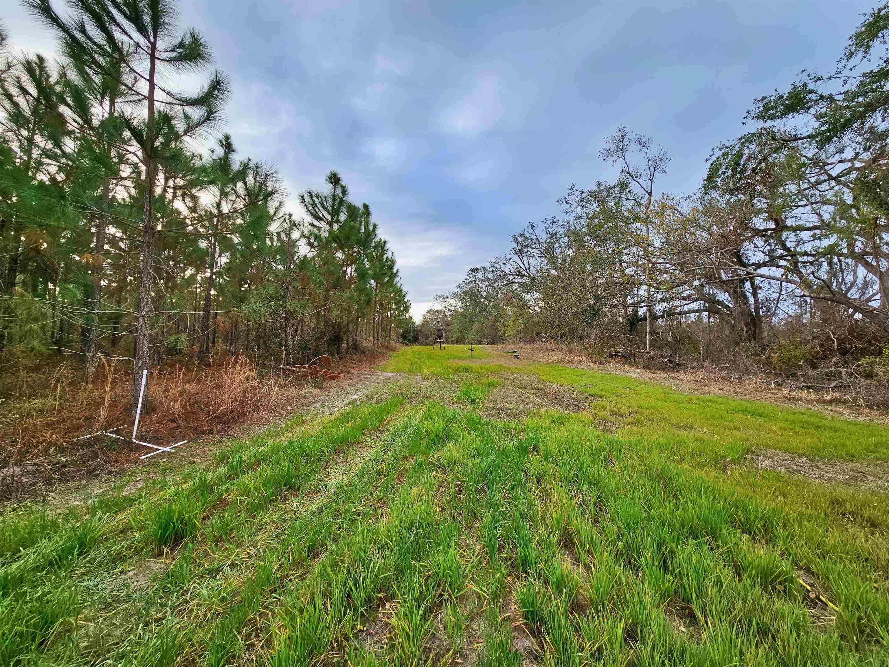 9319 S Cr 53, Madison, Texas image 36