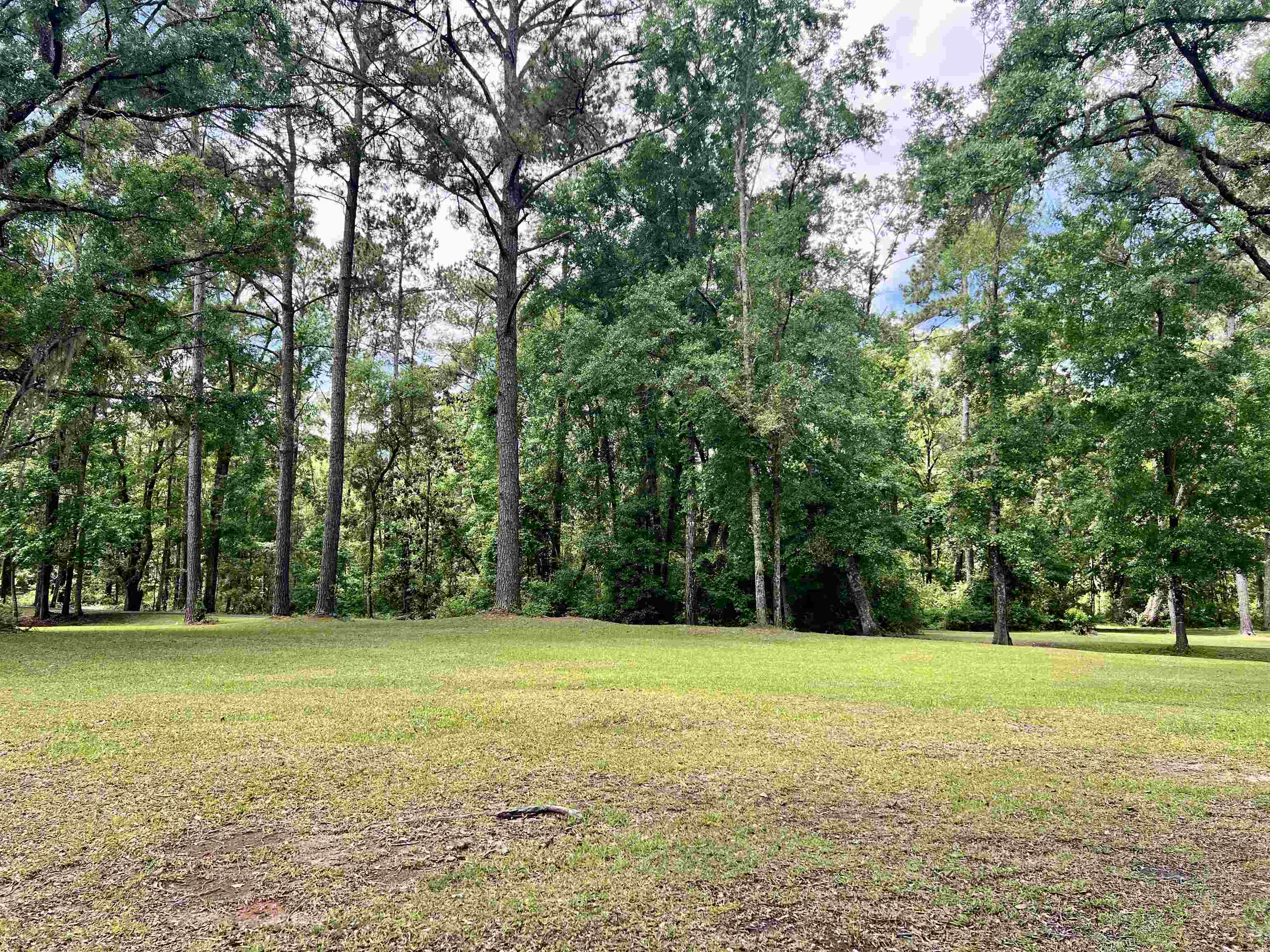 376 Tecumseh Road, Monticello, Florida image 33