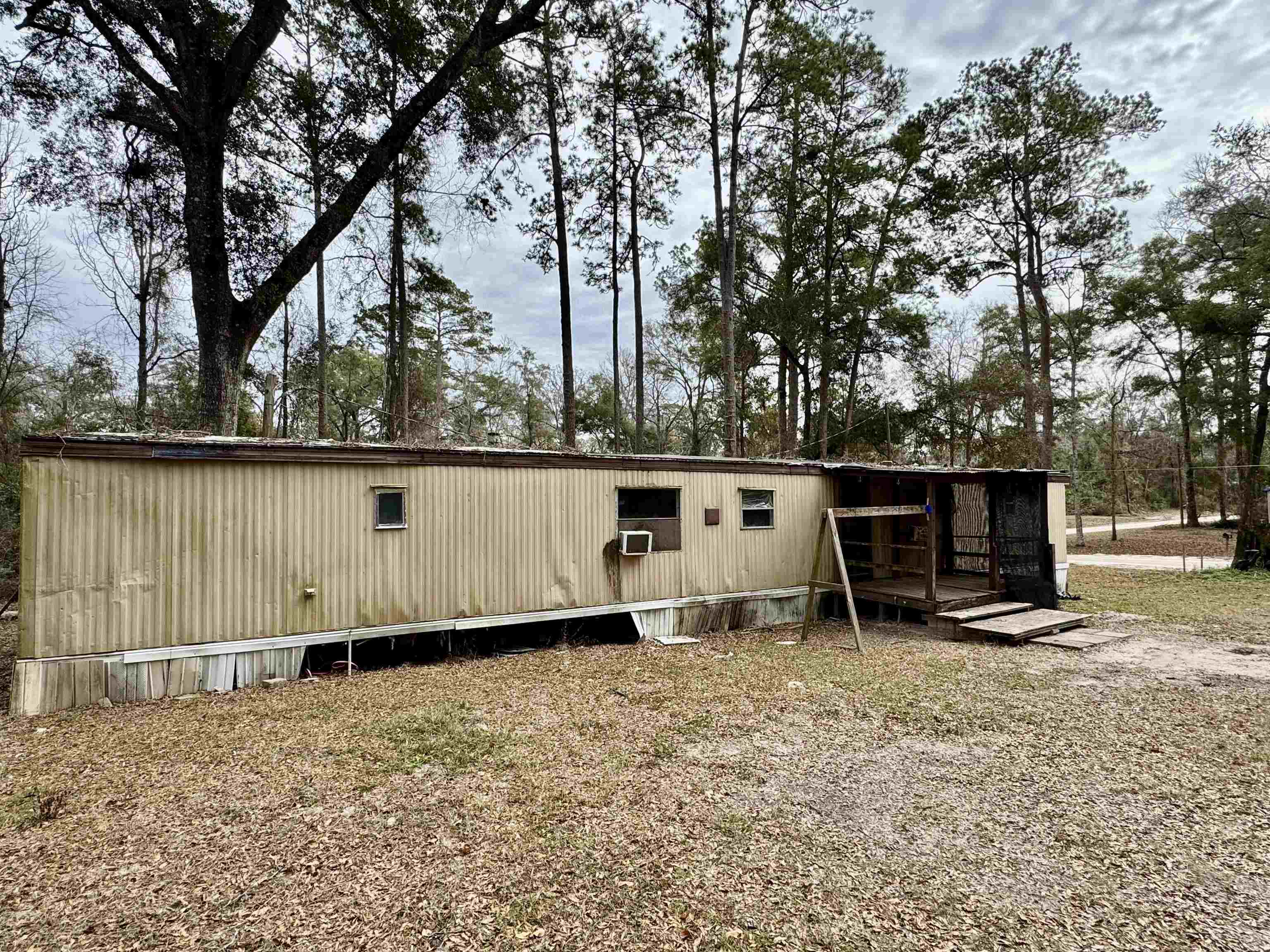 46 Redman Road, Crawfordville, Florida image 4