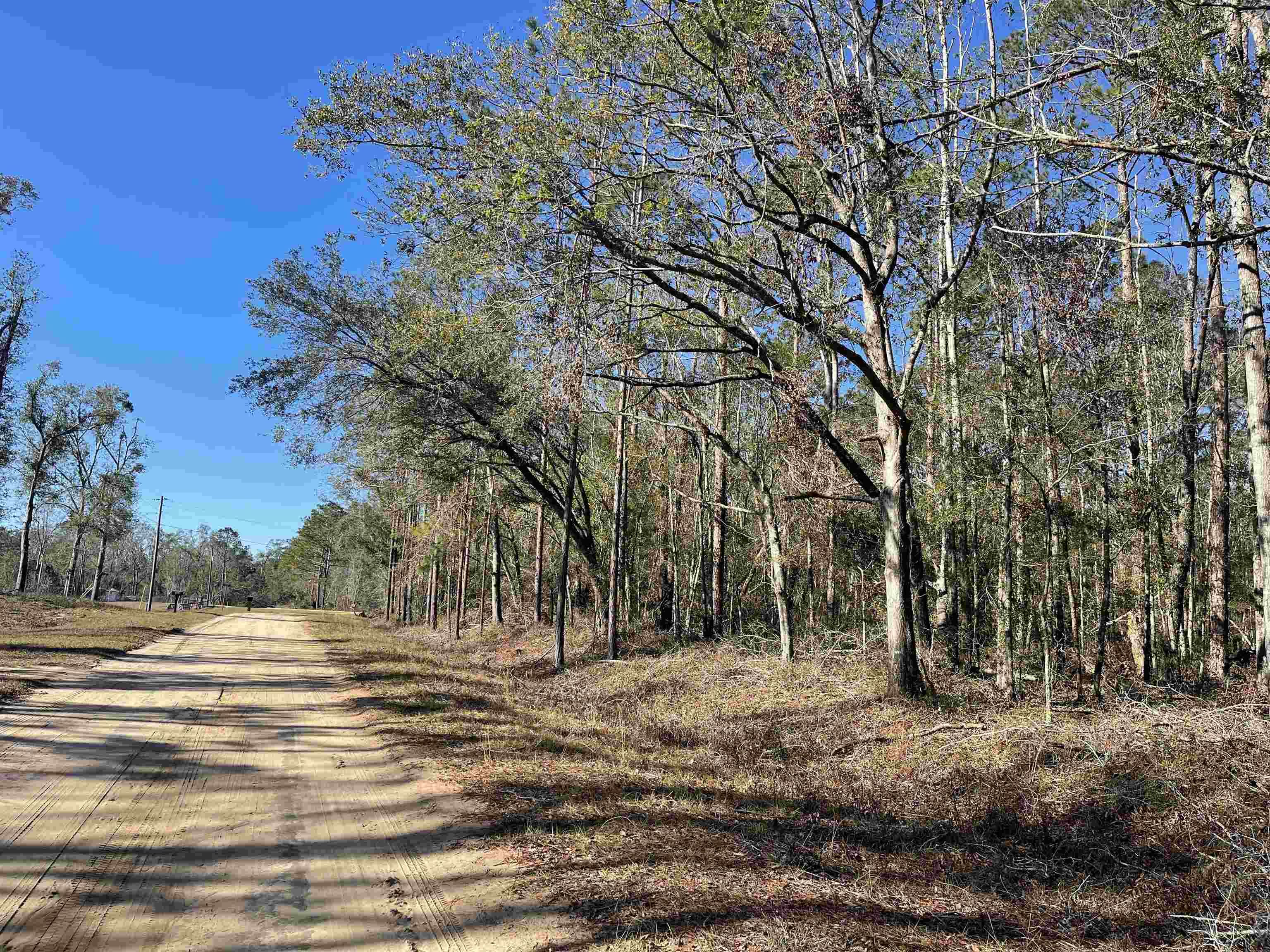 Vacant NE Nixon Way, Madison, Texas image 5