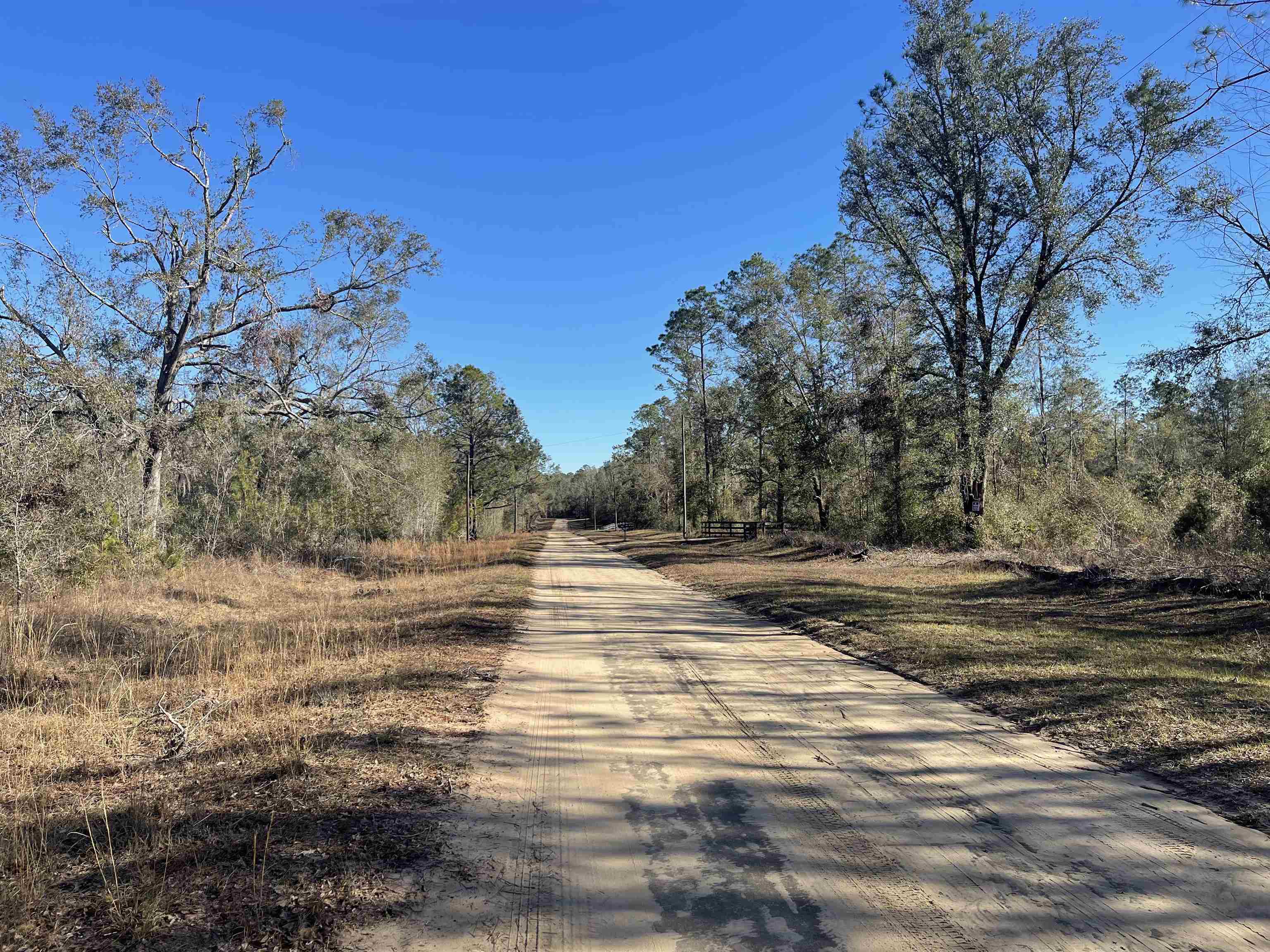 Vacant NE Nixon Way, Madison, Texas image 6