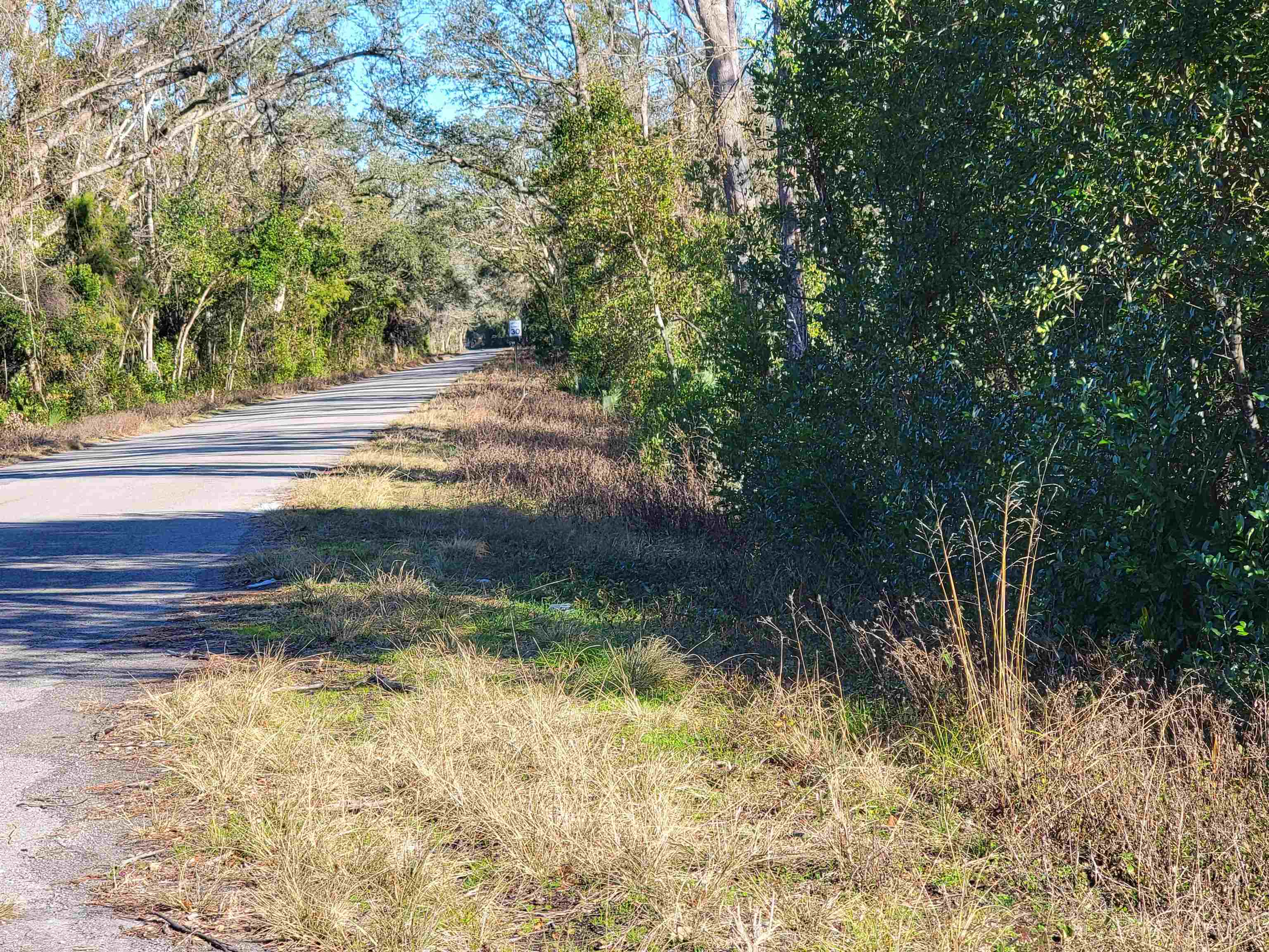 00 Pharo Morgan Road, Perry, Florida image 2