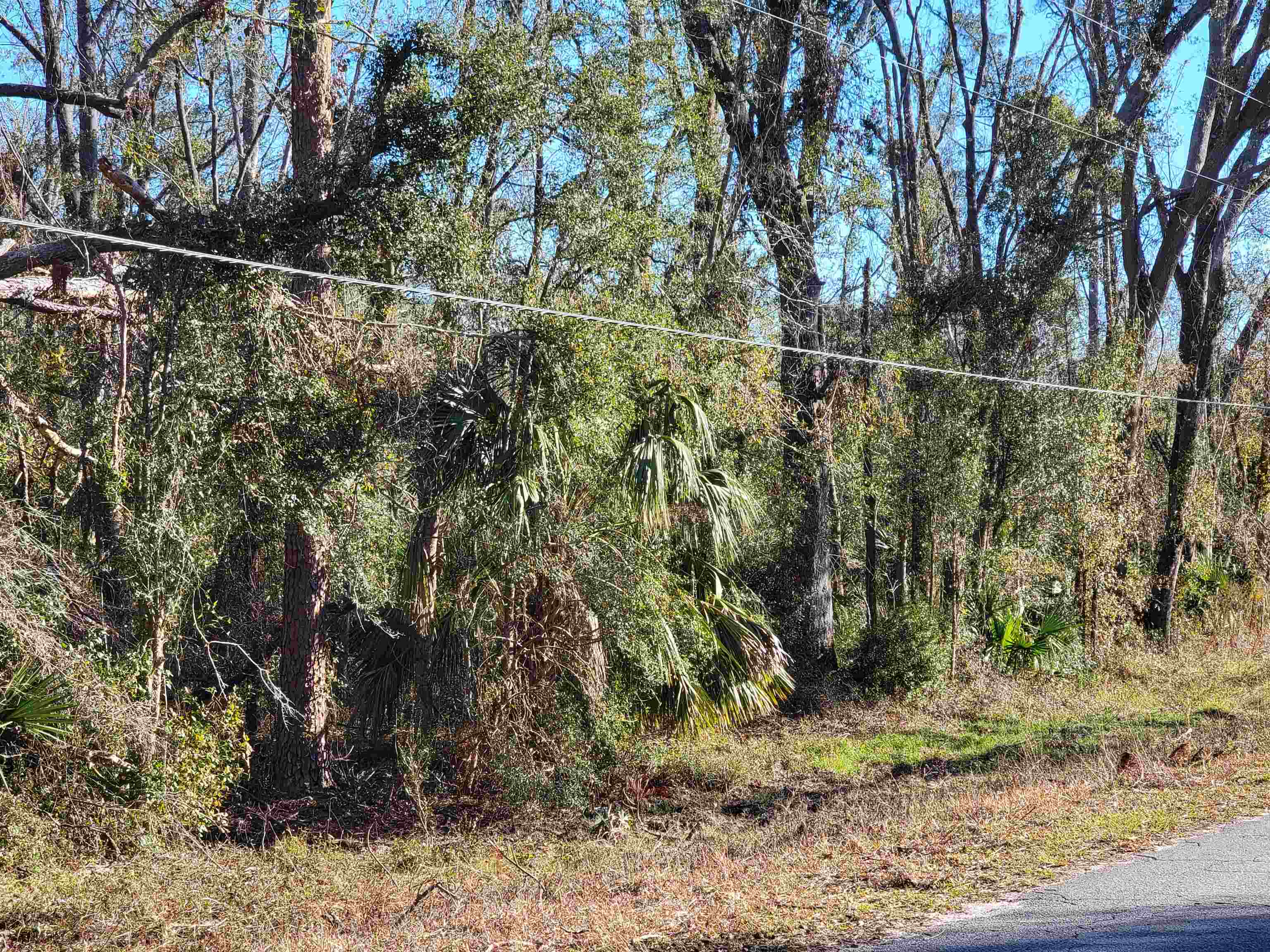 00 Pharo Morgan Road, Perry, Florida image 5
